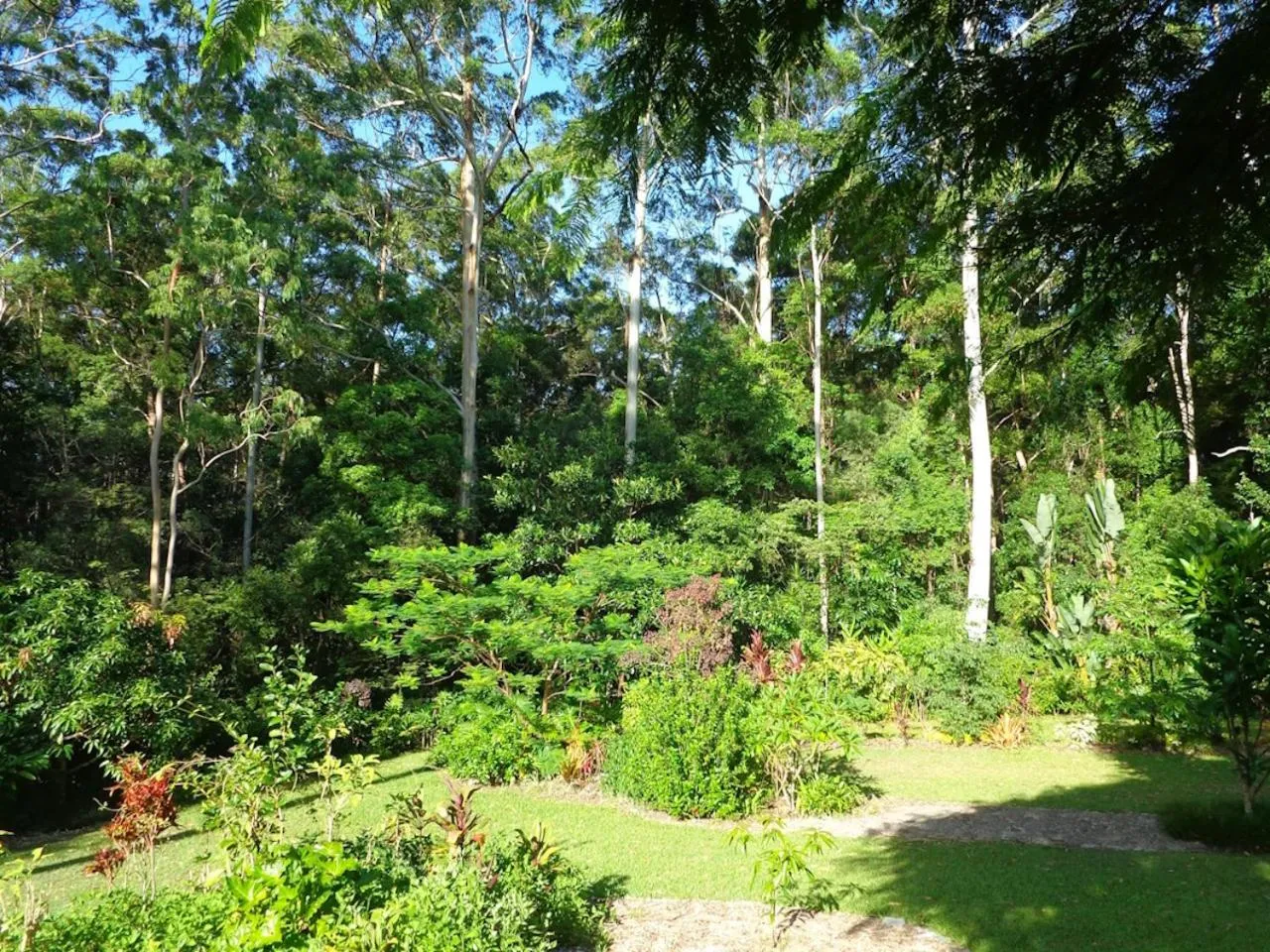 Garden in Noosa Buoys
