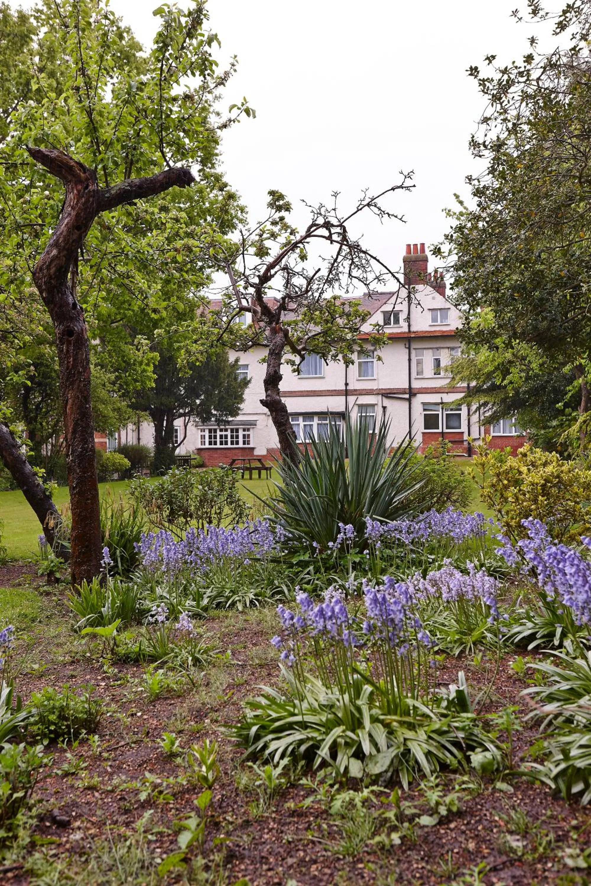 Garden view in Linton Lodge a BW Signature Collection Hotel