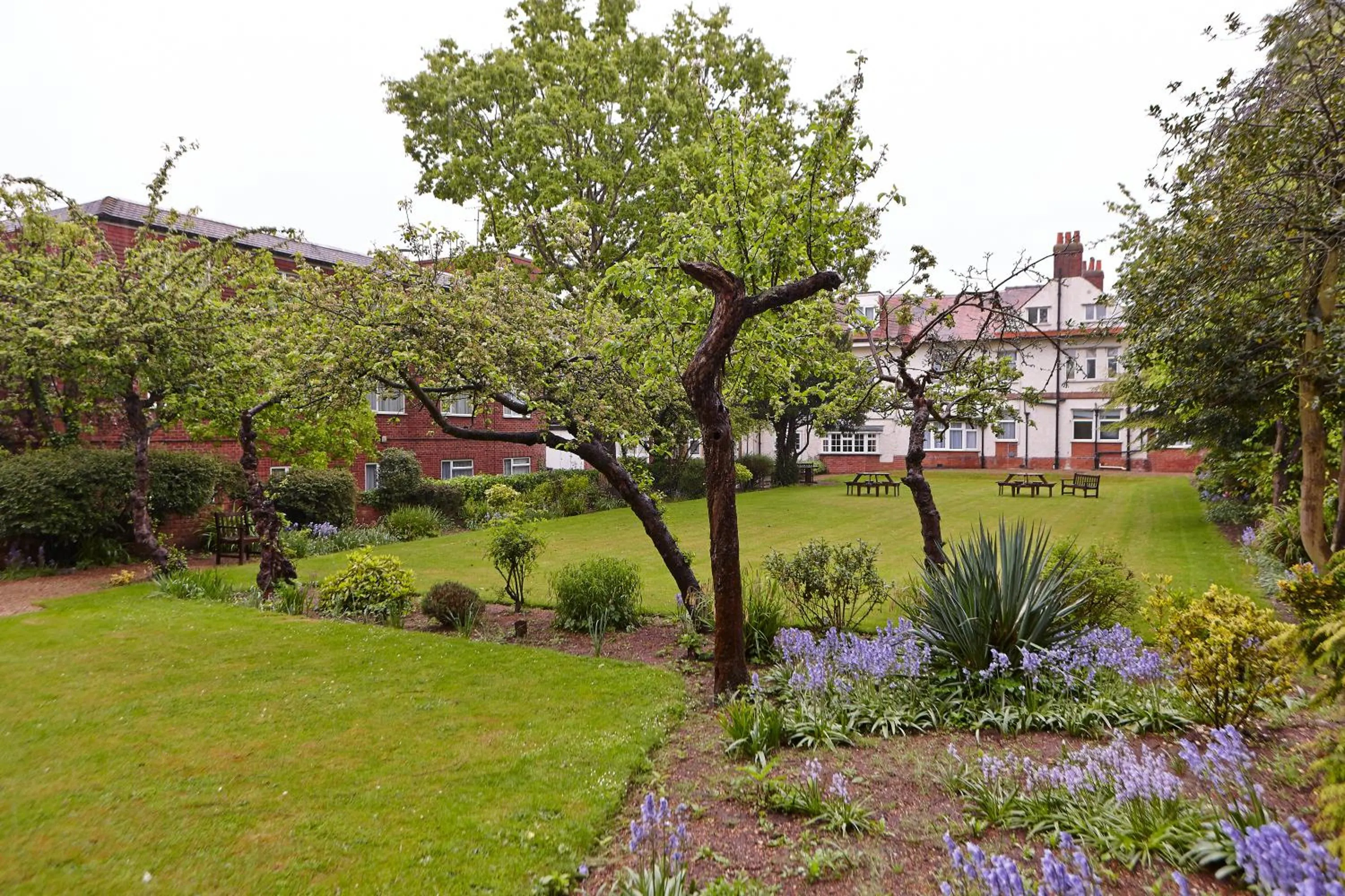Garden in Linton Lodge a BW Signature Collection Hotel