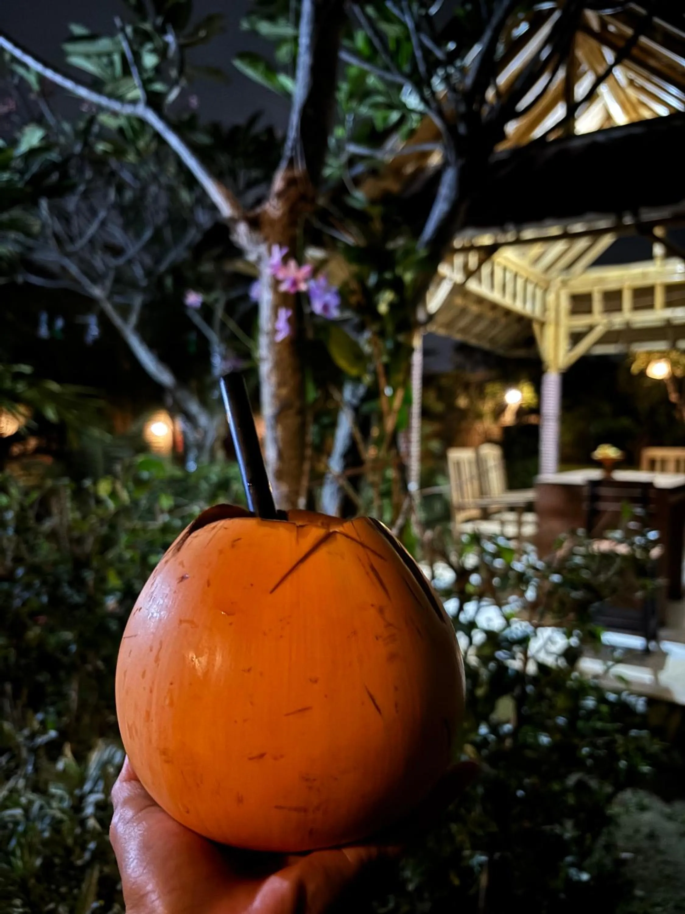 Food close-up in Sriwedari House Keramas