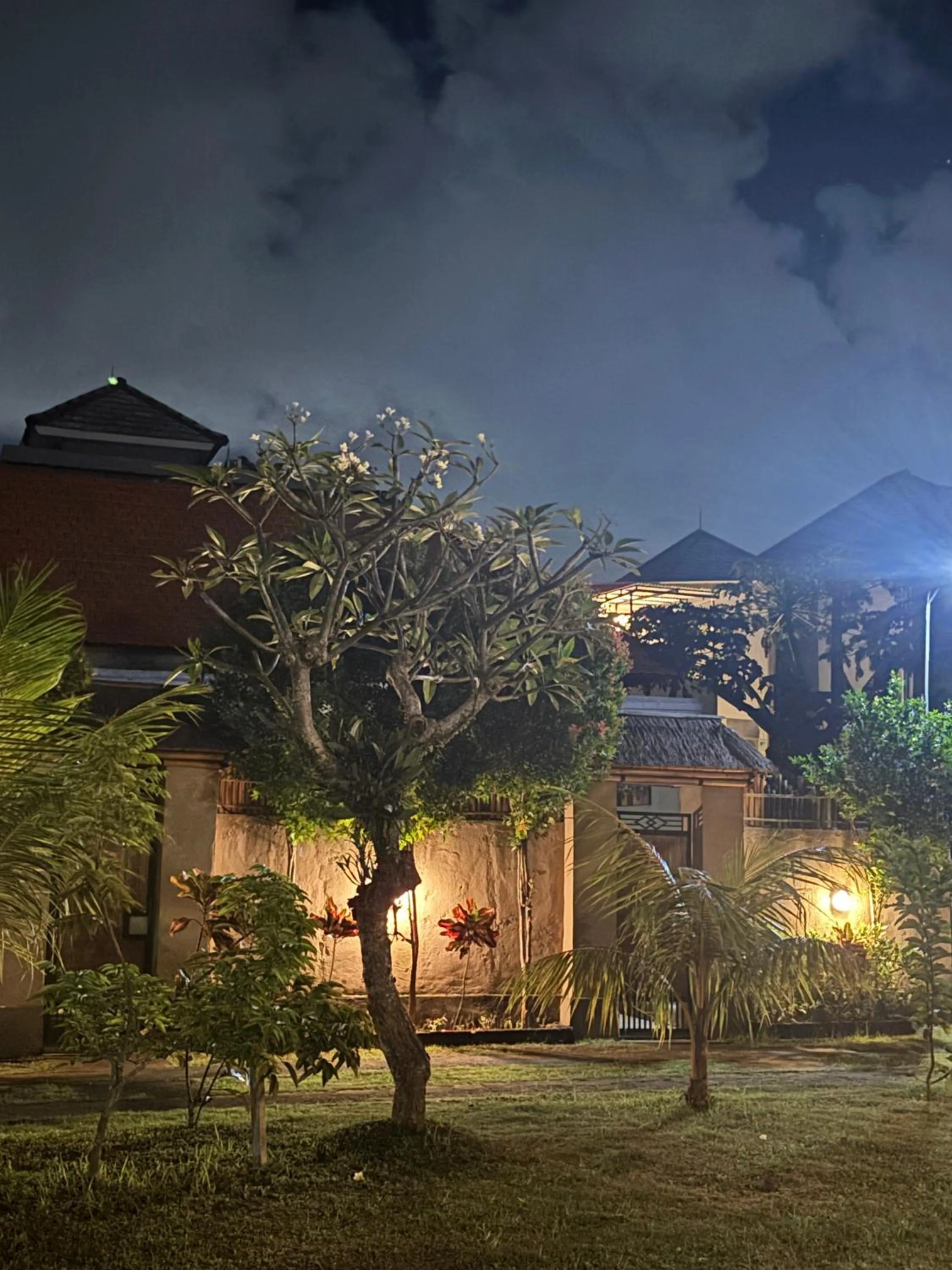 Garden in Sriwedari House Keramas