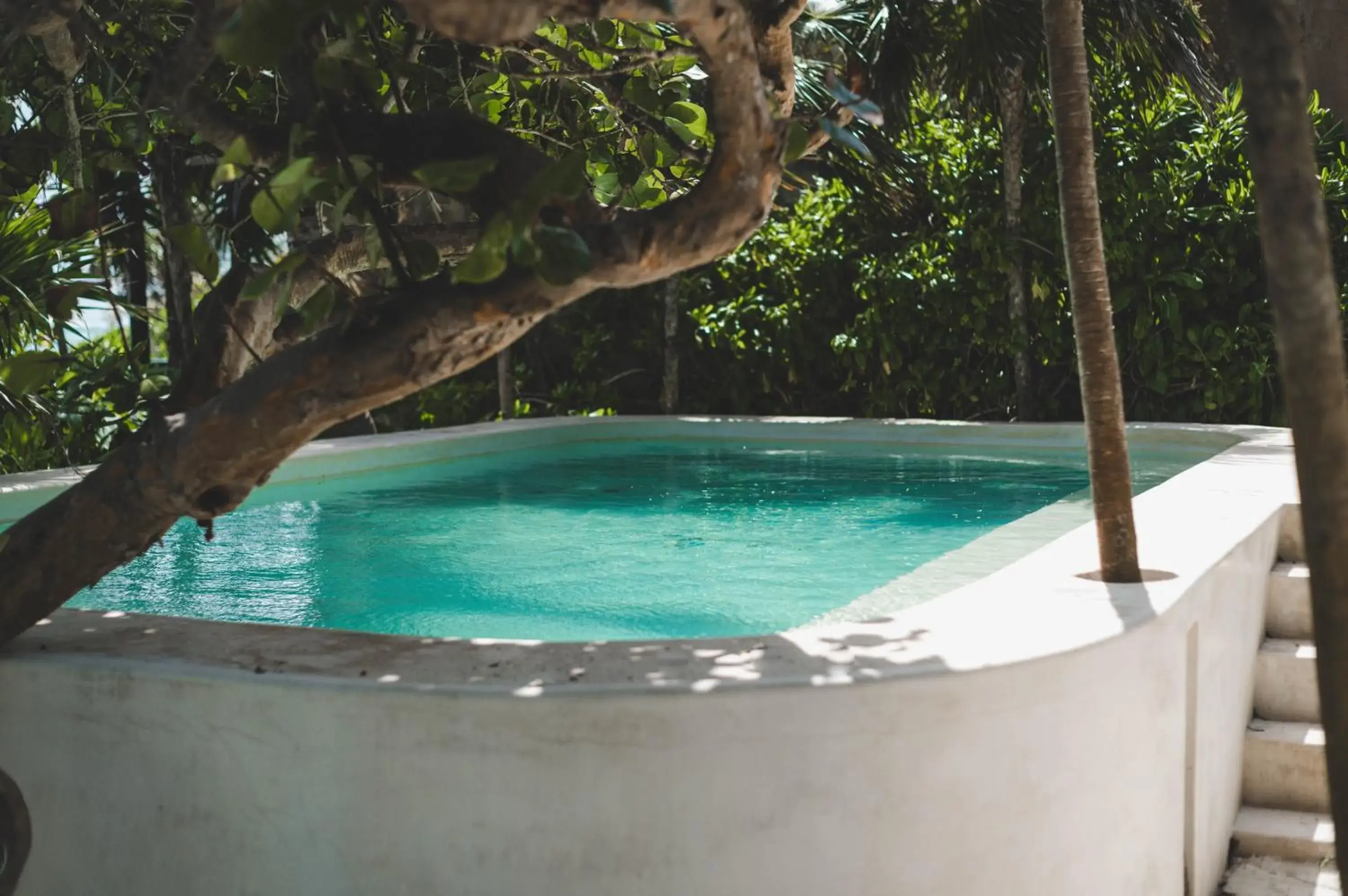 Swimming pool in Diamante K - Inside Tulum National Park Swimming pool in Diamante K - Inside Tulum National Park