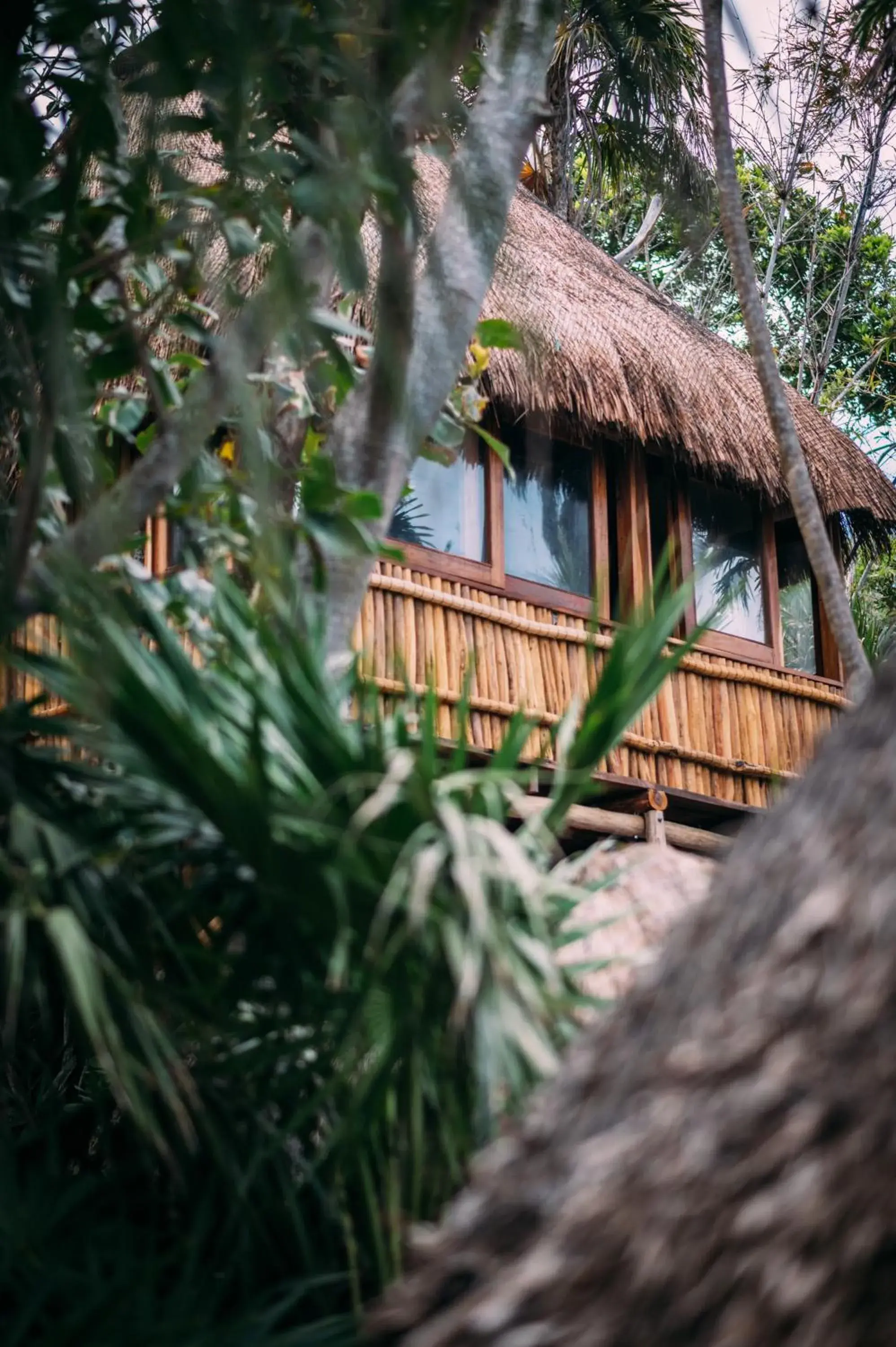 Property building in Diamante K - Inside Tulum National Park Property building in Diamante K - Inside Tulum National Park