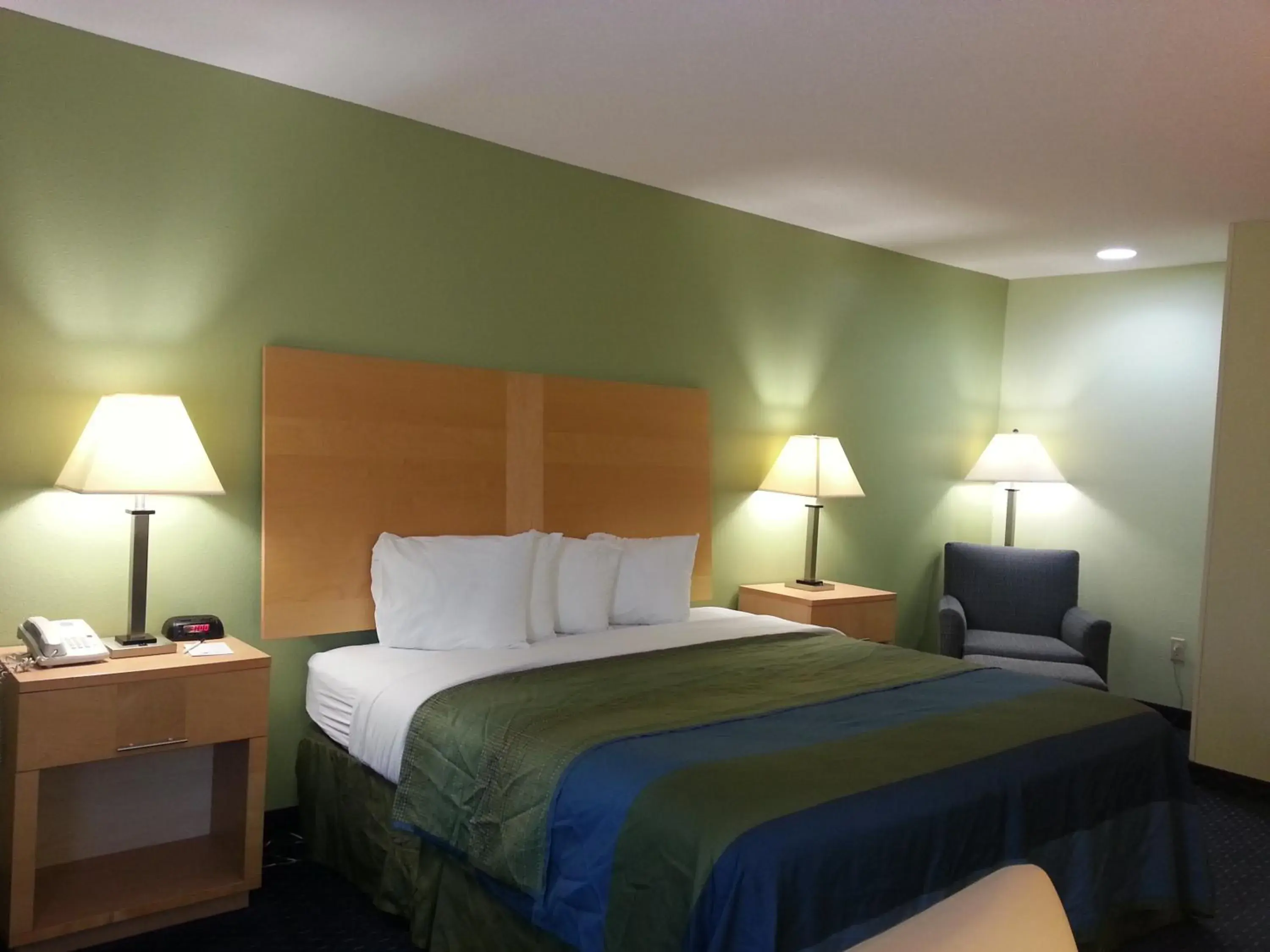 King Guest Room - Disability Access in Park Inn by Radisson Albany King Guest Room - Disability Access in Park Inn by Radisson Albany
