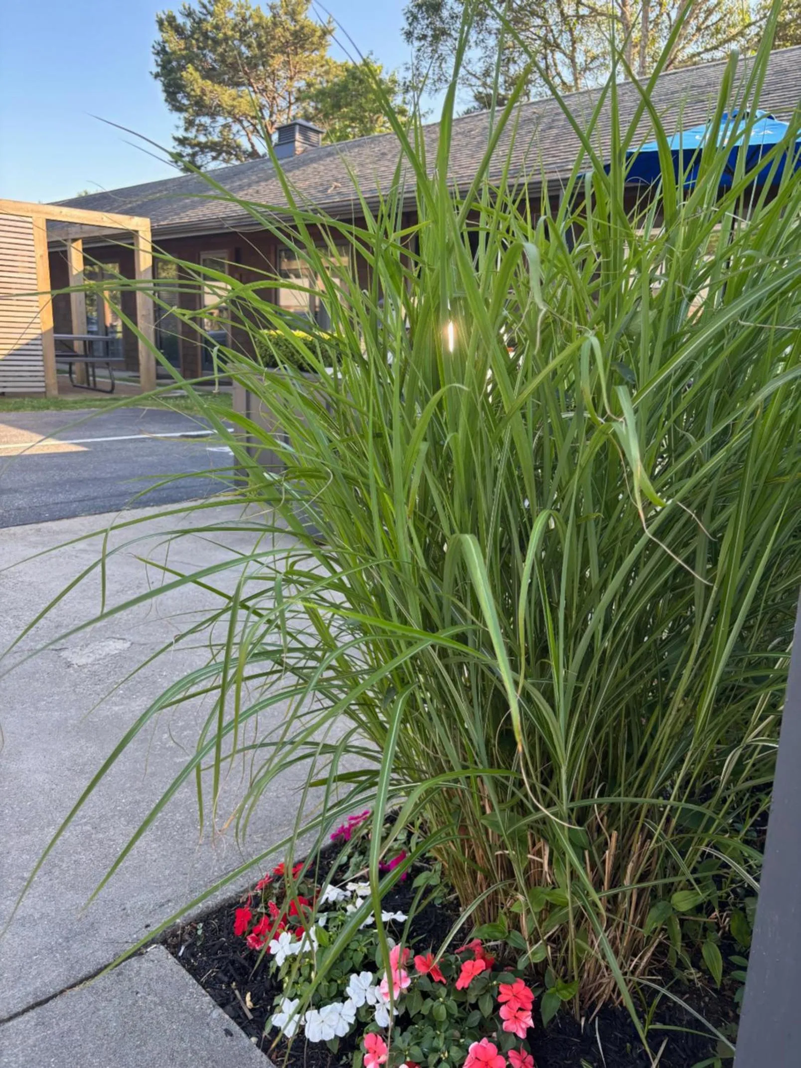 Patio in Cape Cod Veranda