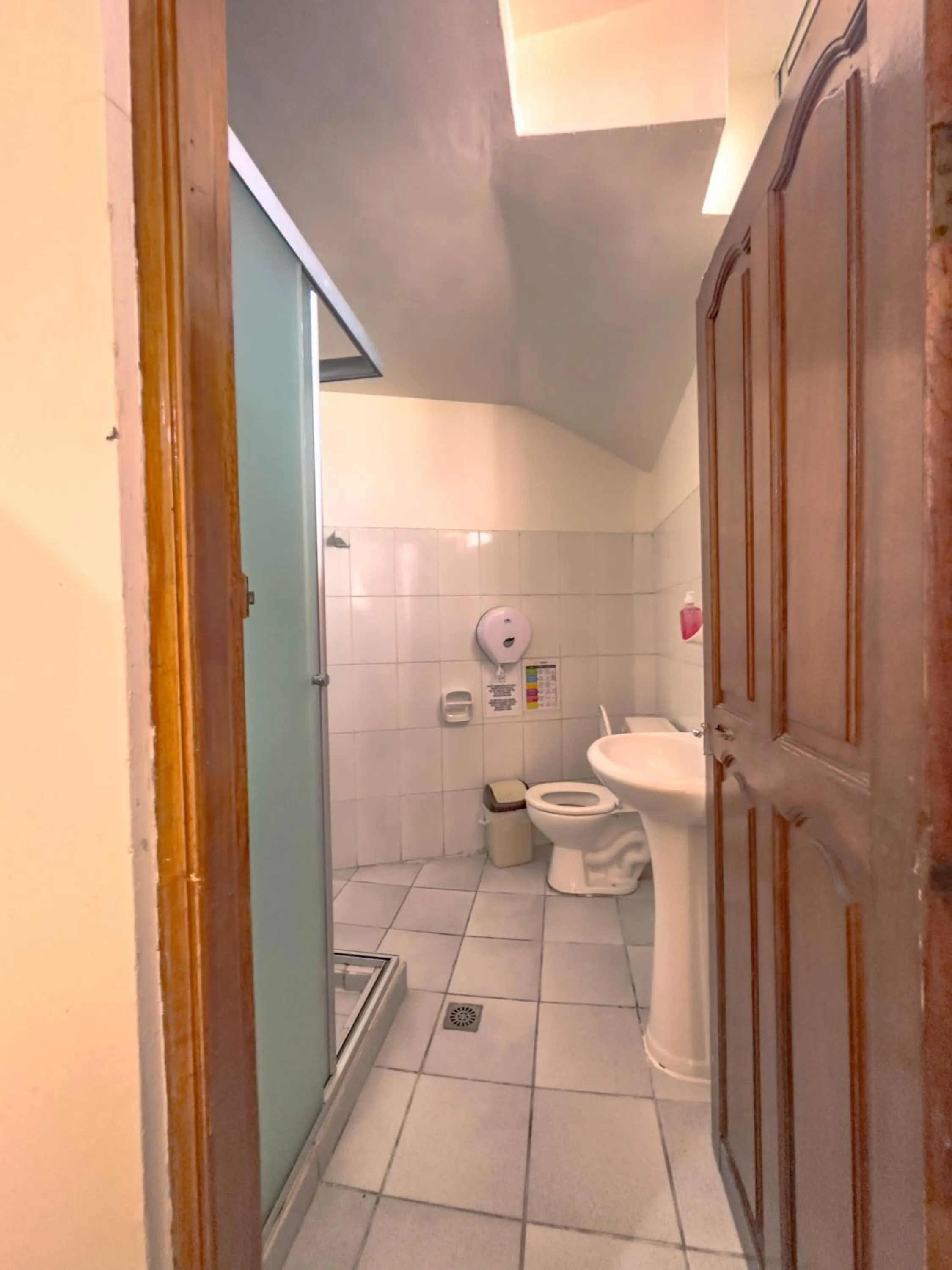 Shower in Lobo Hostel La Paz