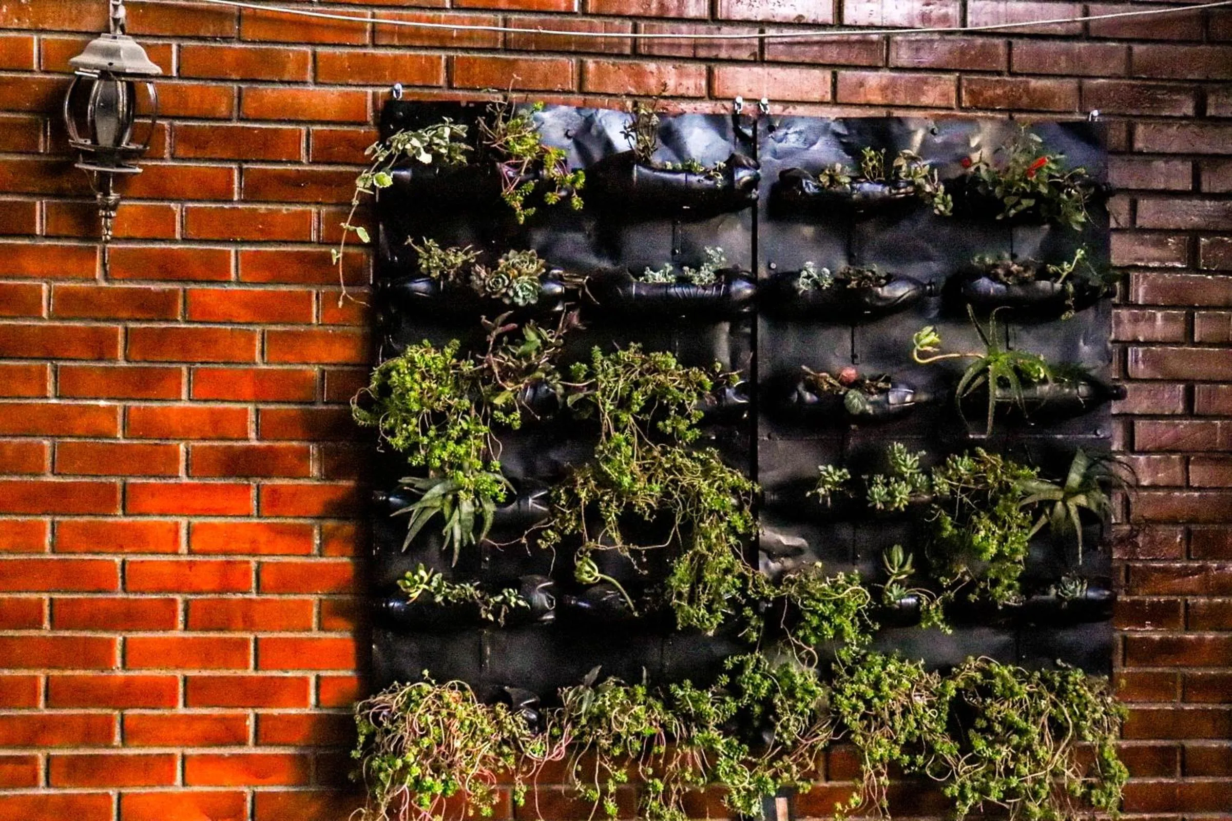 Patio in Lobo Hostel La Paz