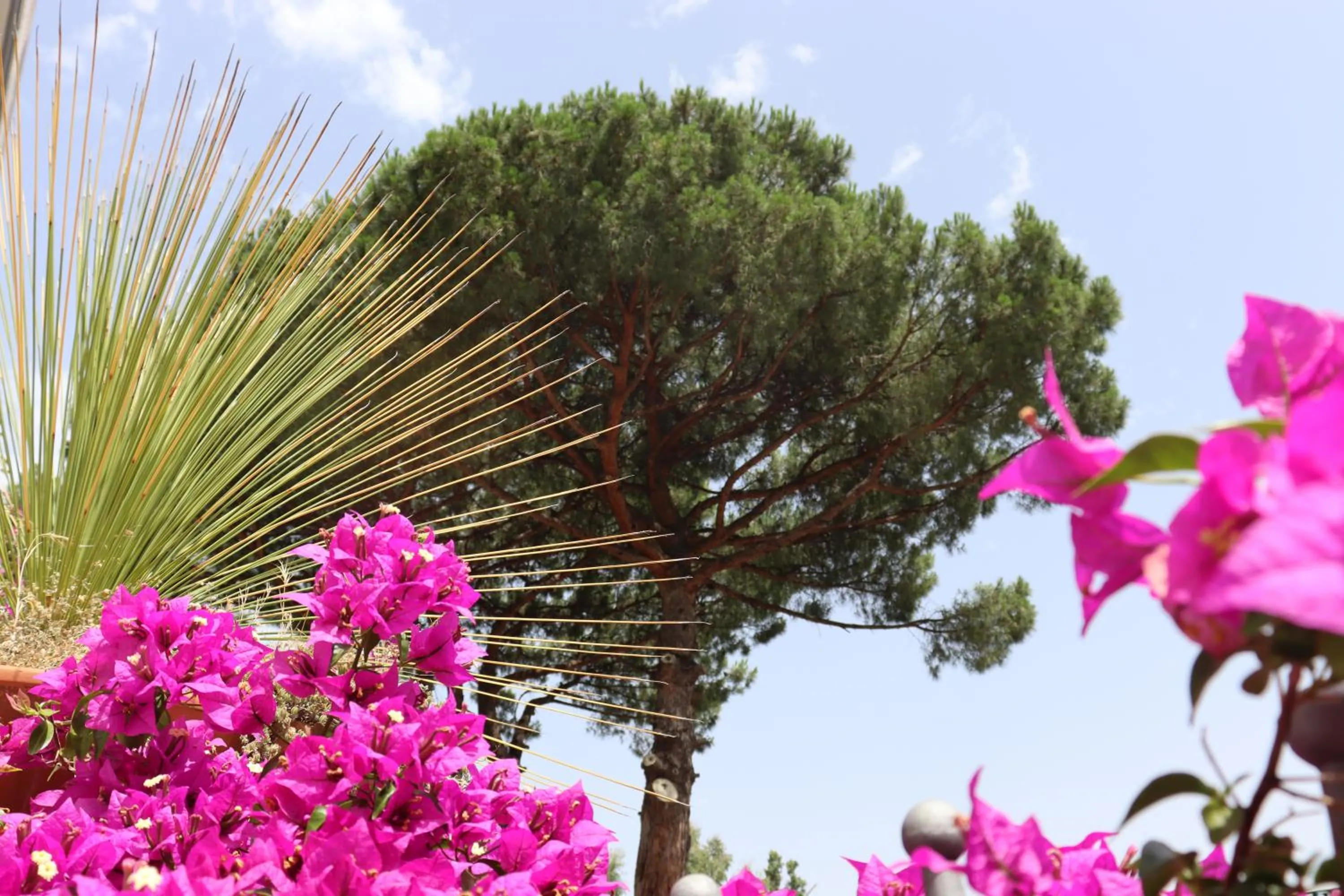 Property building in Hotel Paradiso