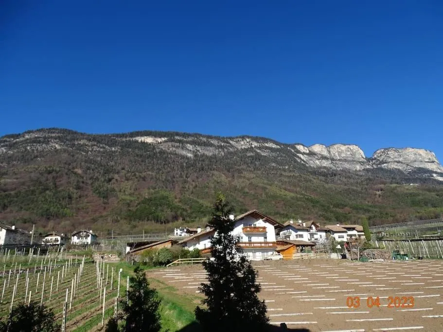 Mountain view in Panoramaterrace, Wein & relax