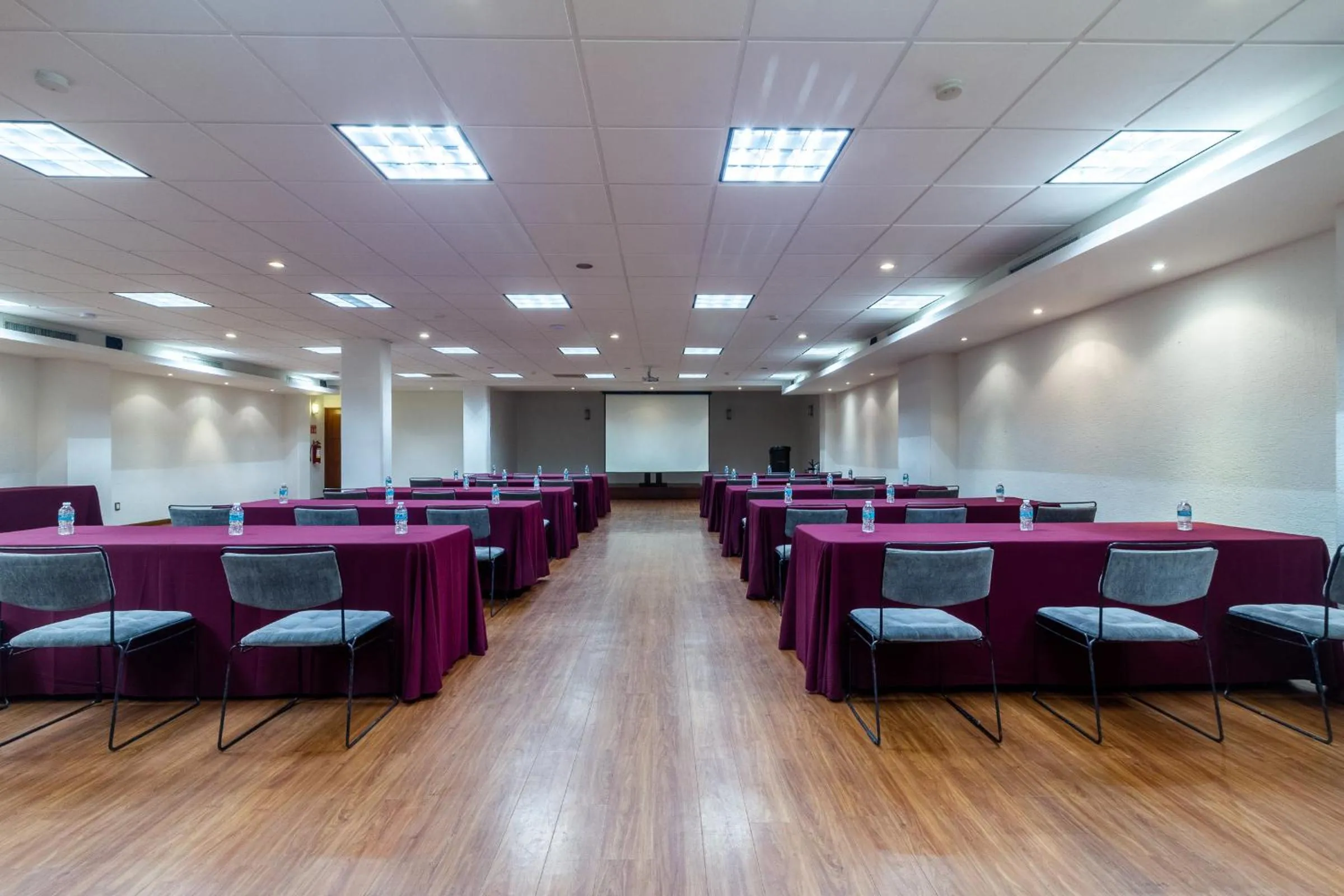 Meeting/conference room in Mesón Ejecutivo Guadalajara Minerva - Av México