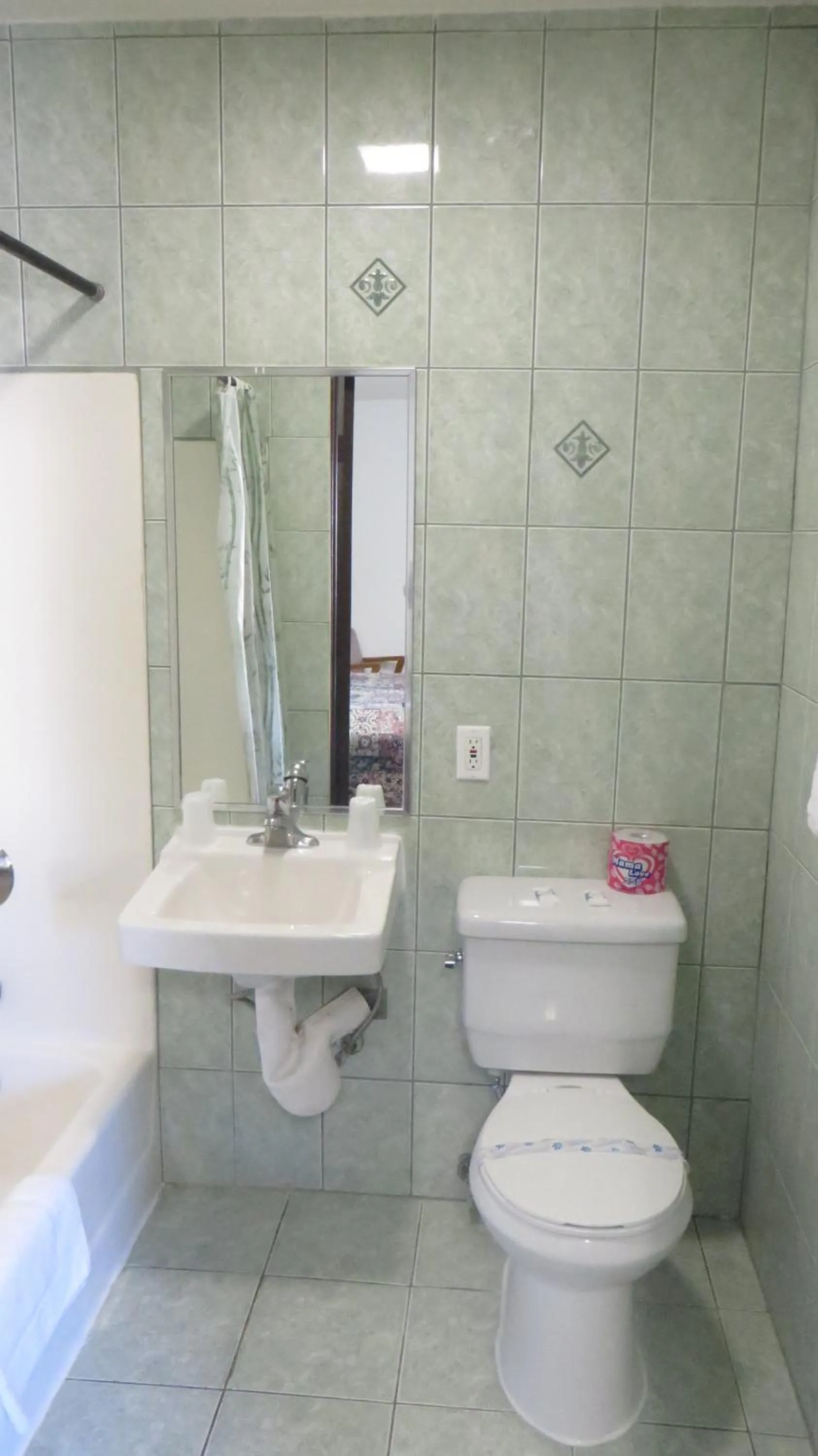 Bathroom in Eagle Rock Motel