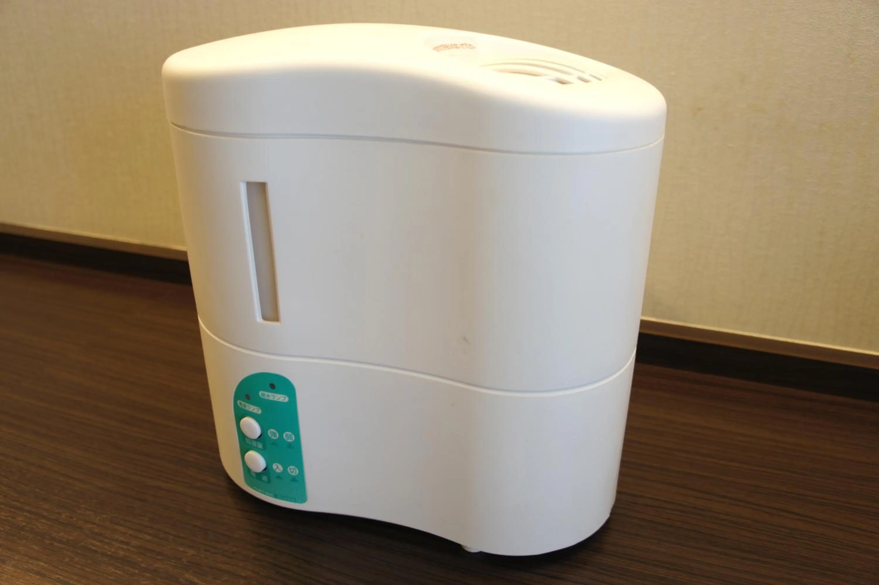 Decorative detail in Hotel Abest Kochi