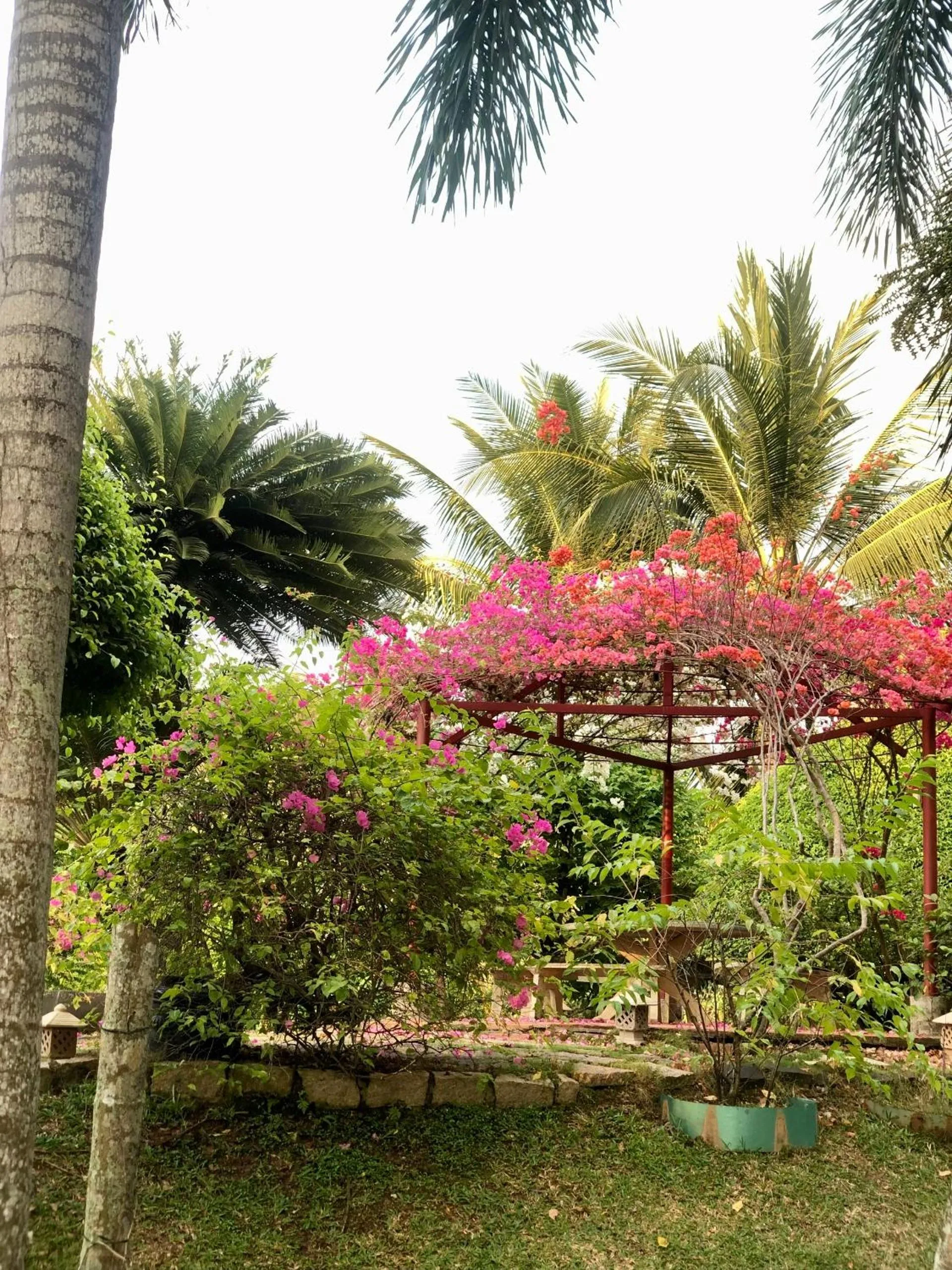 Garden view in Les Hameaux de l'Orient