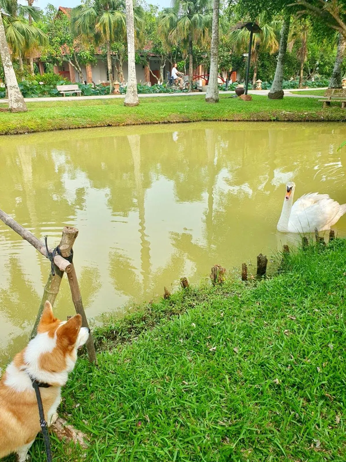 Les Hameaux de l'Orient