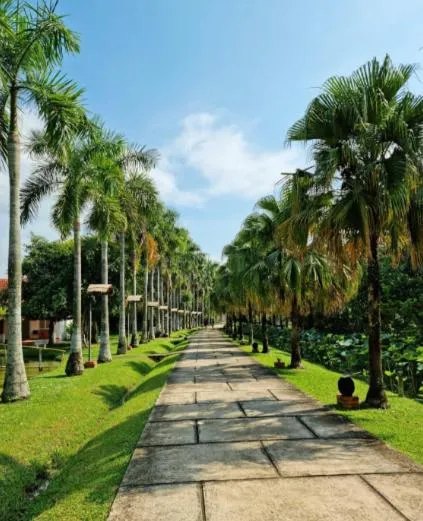 Garden in Les Hameaux de l'Orient