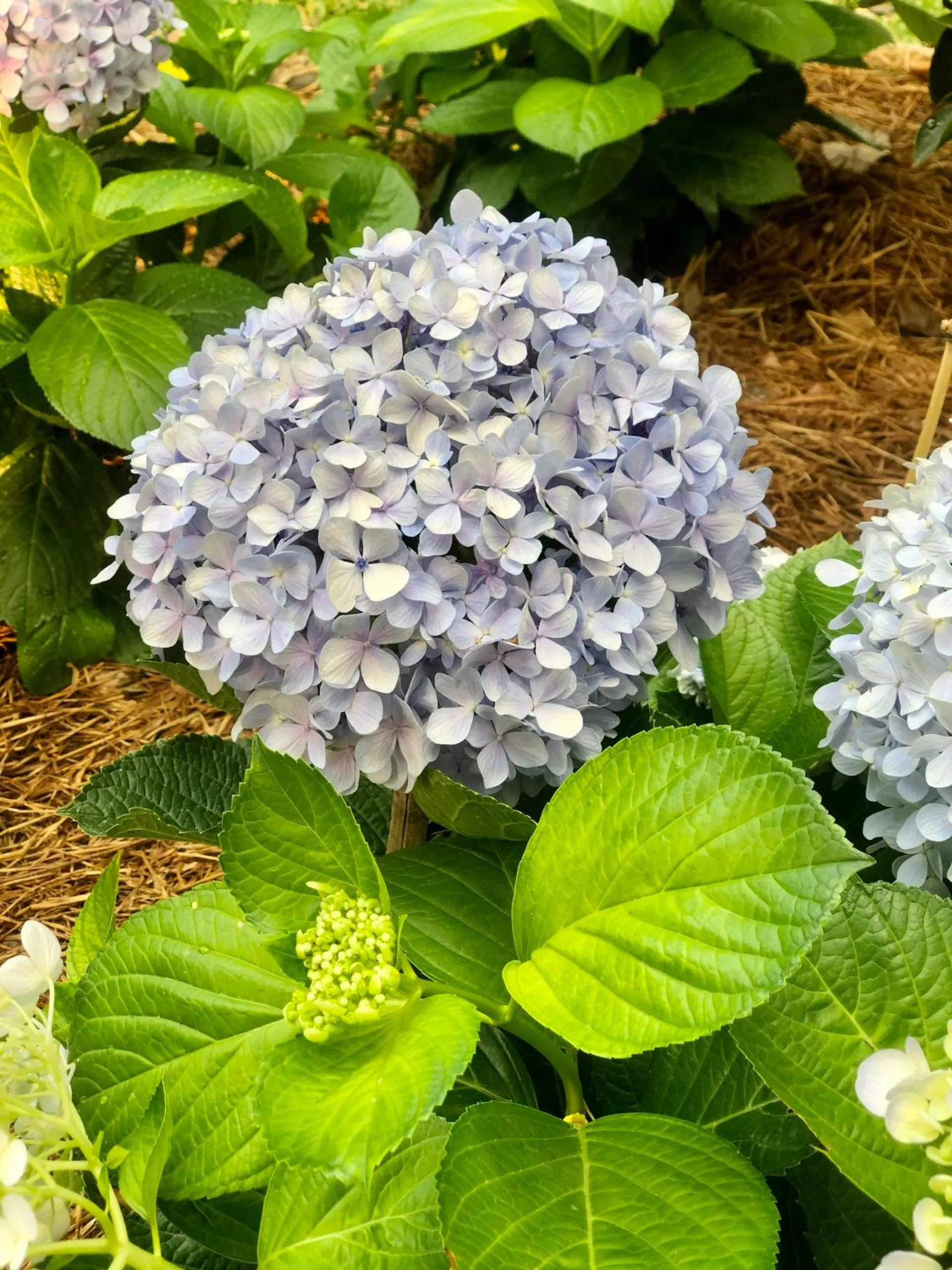 Les Hameaux de l'Orient