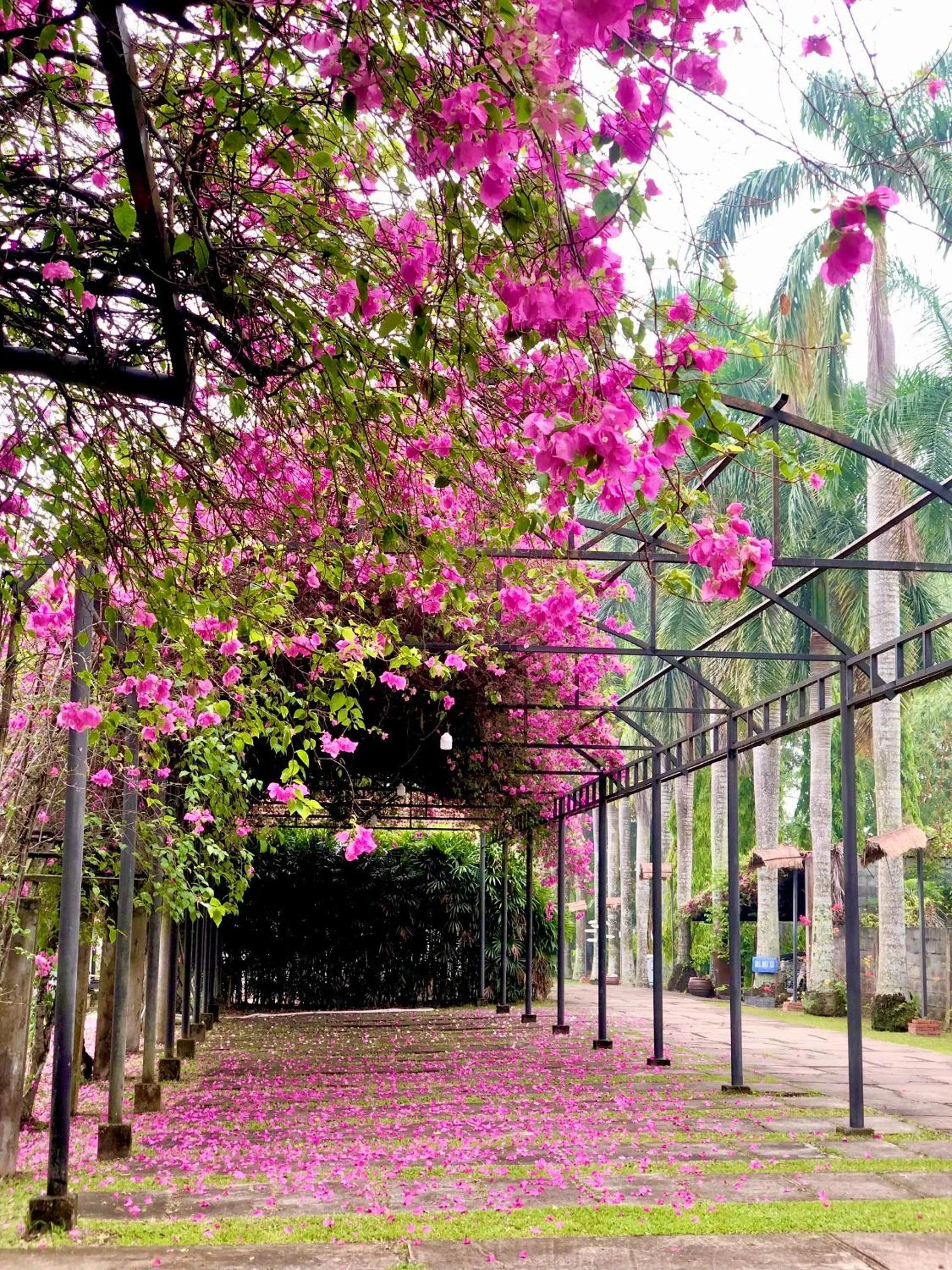 Parking in Les Hameaux de l'Orient