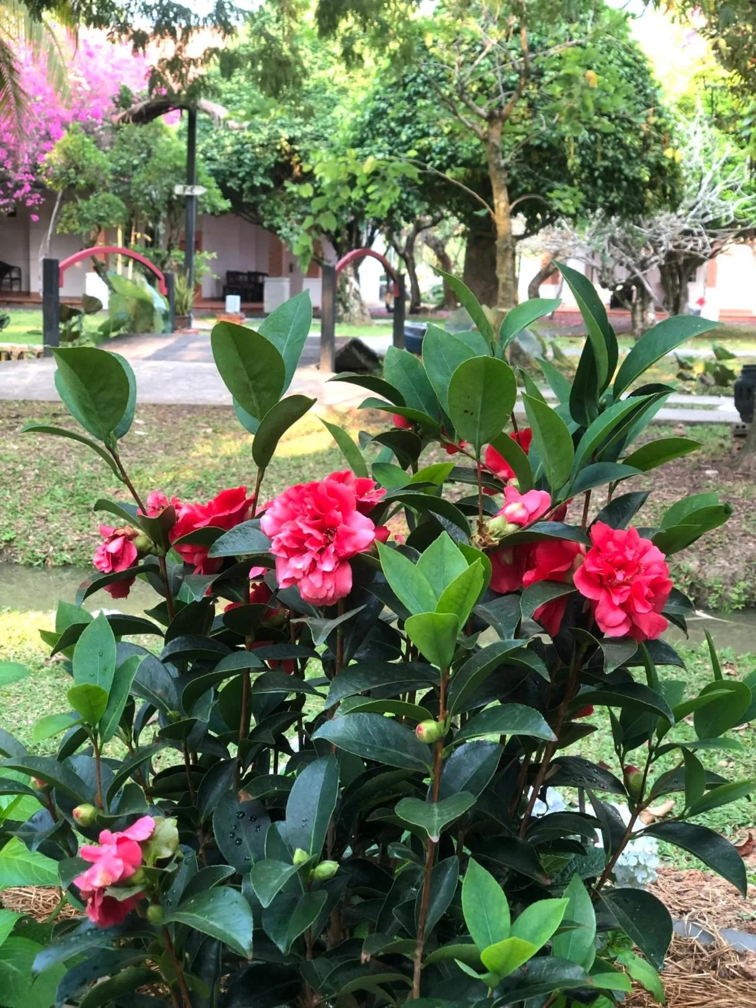 Les Hameaux de l'Orient