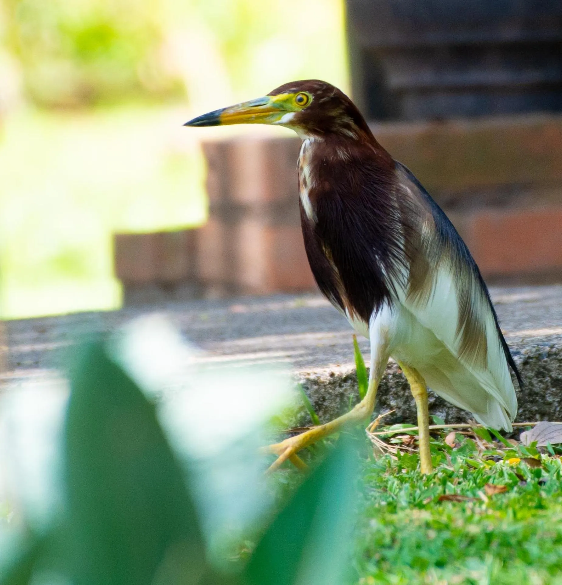 Les Hameaux de l'Orient