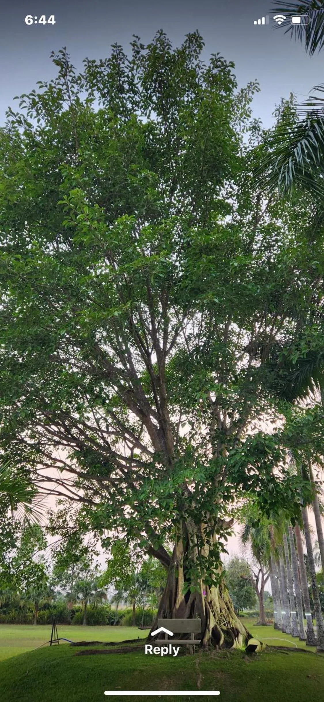 Other in Les Hameaux de l'Orient