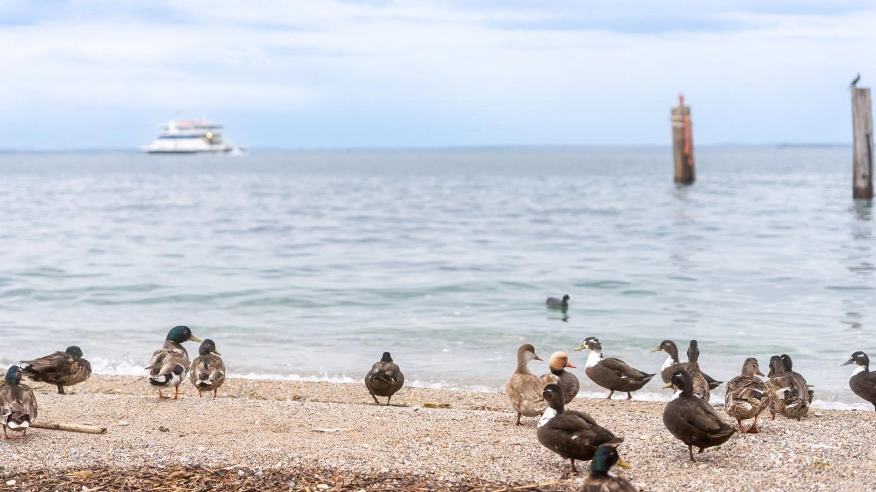 Nearby landmark in Hotel Eden