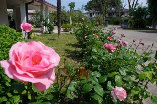 B&B Cà d'Artisti
