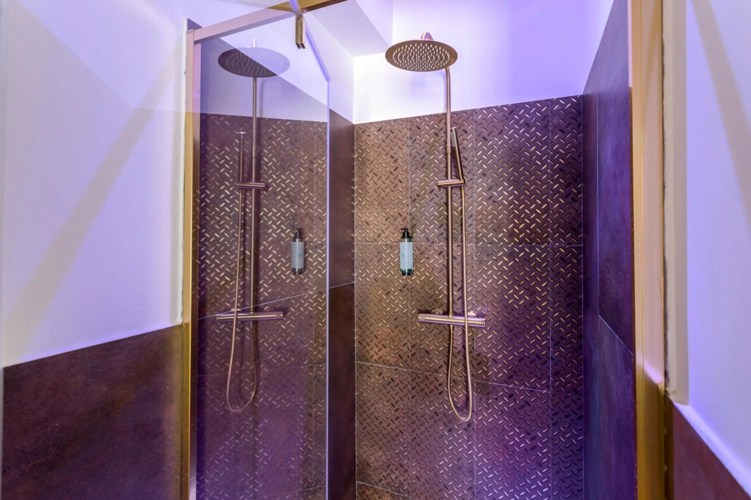 Shower in Romi Suite