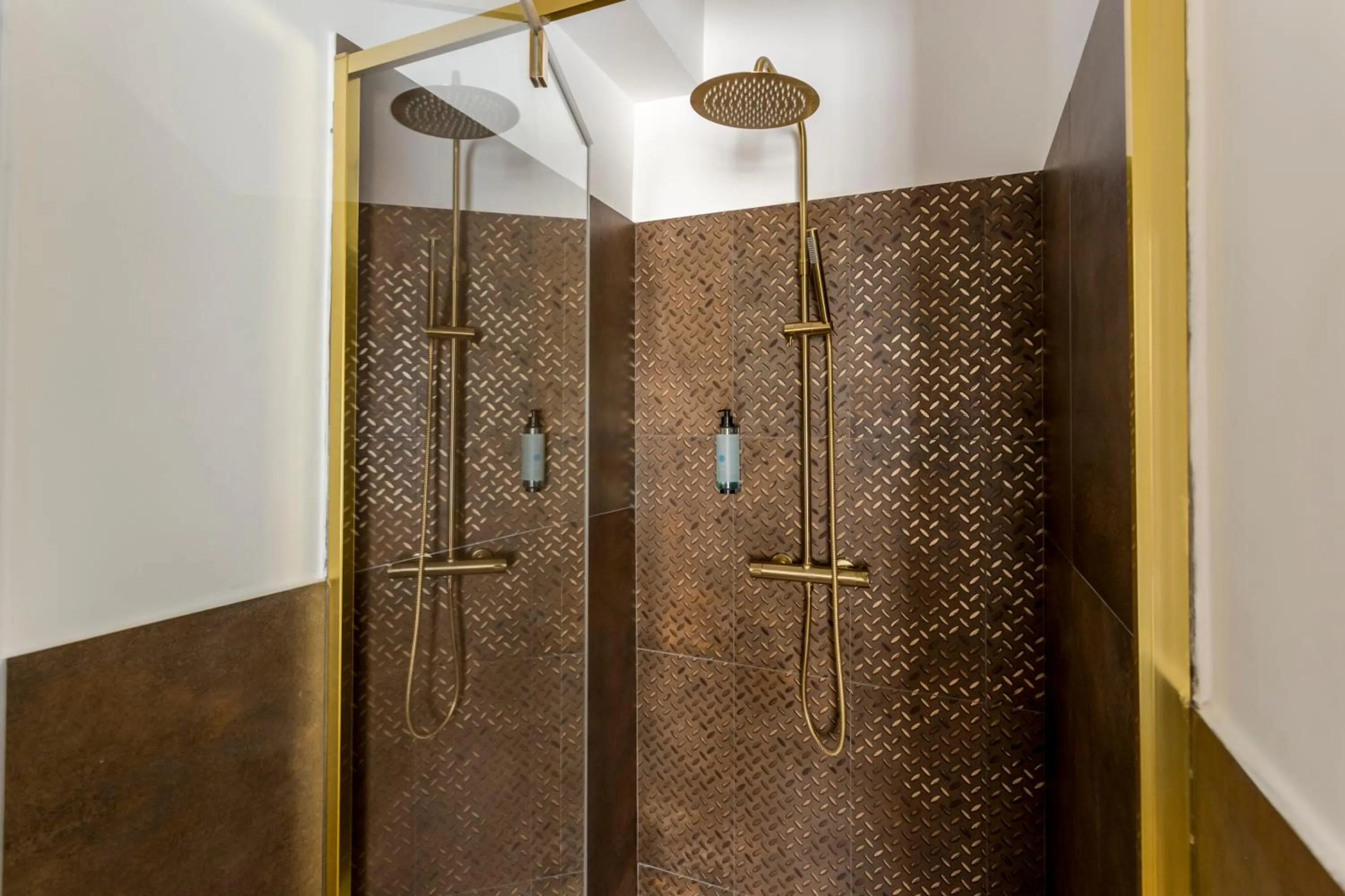 Shower in Romi Suite