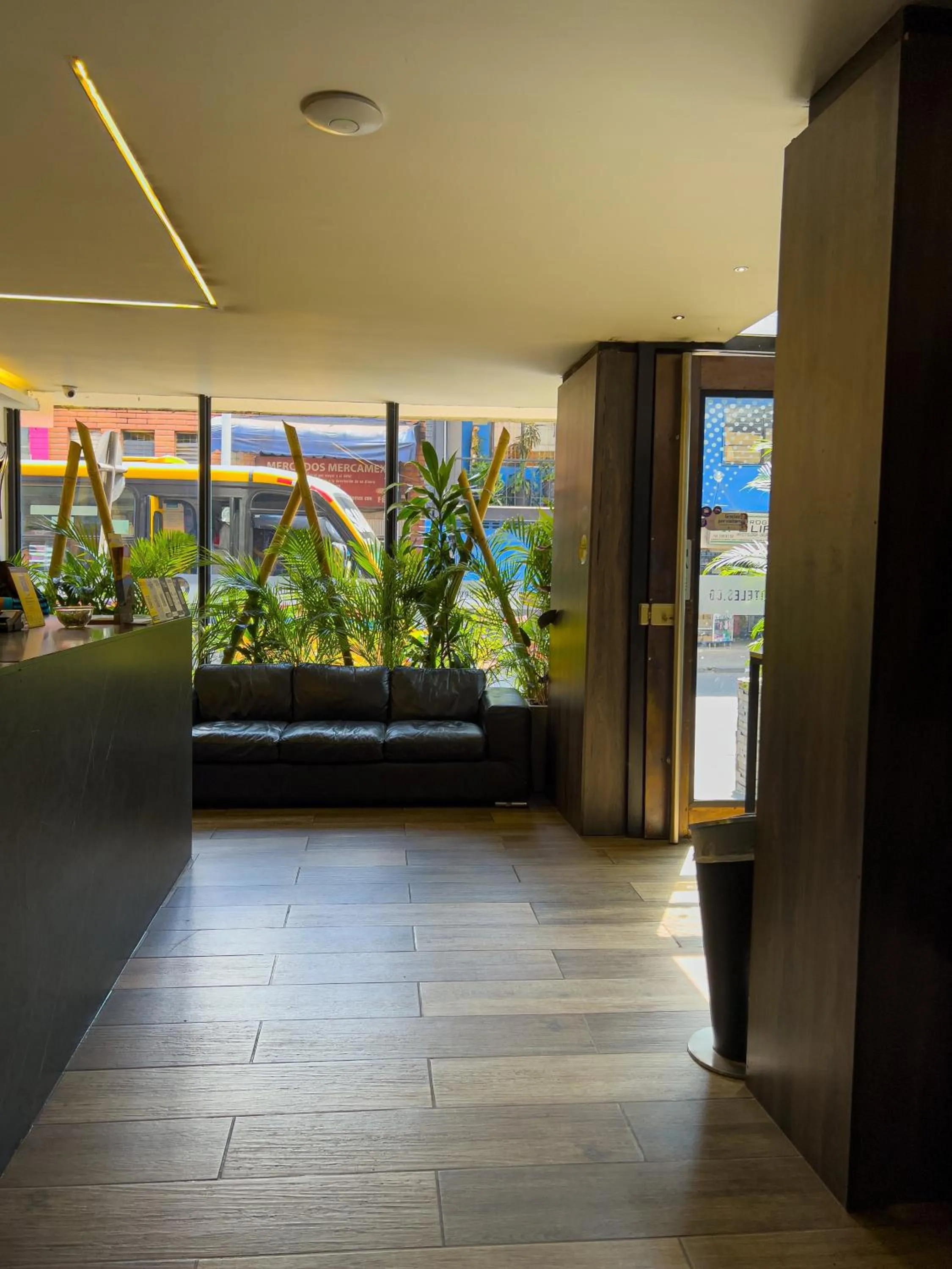 Garden in Hotel 47 Medellin Center