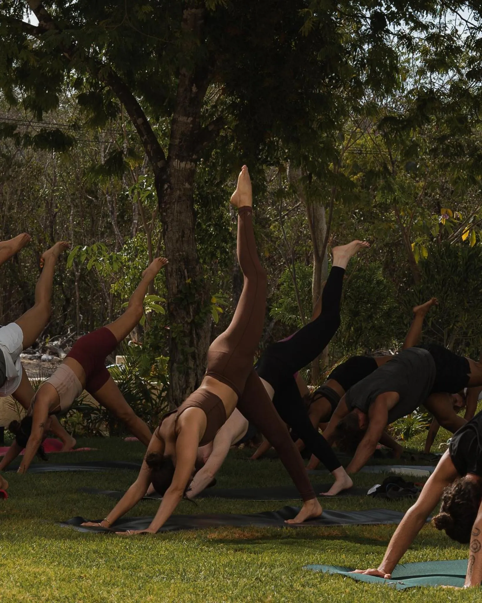 Activities in Hotel Bacab Tulum