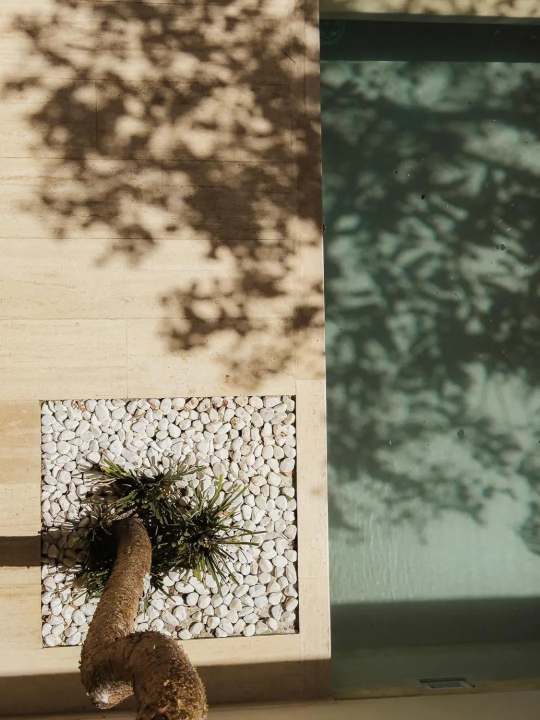 Garden in Hotel Bacab Tulum