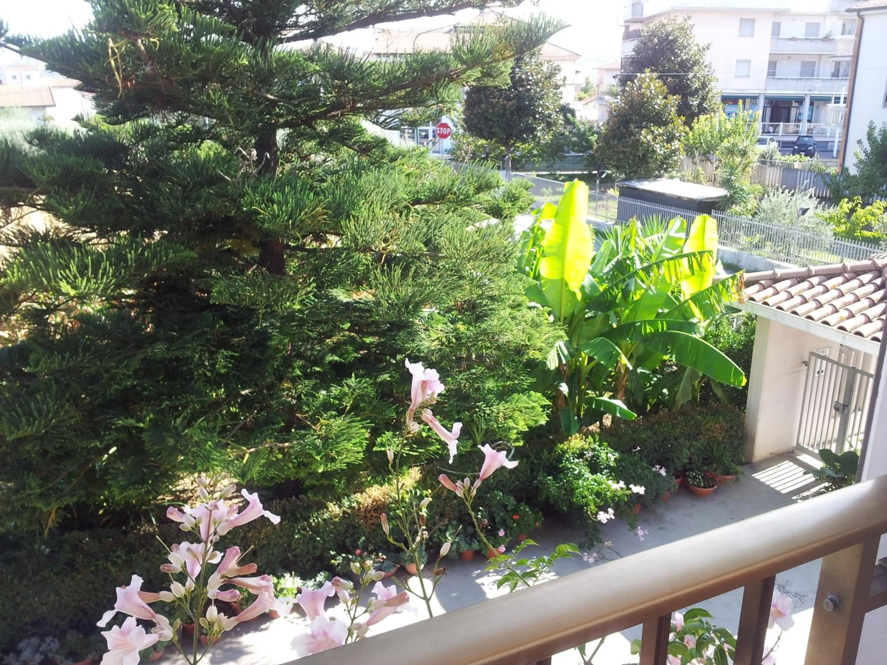 Garden in B&B La Casa di Angelica