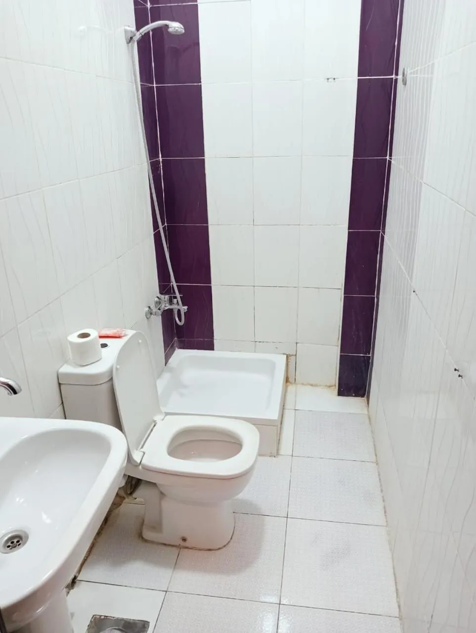 Shower in Family Palace Hostel