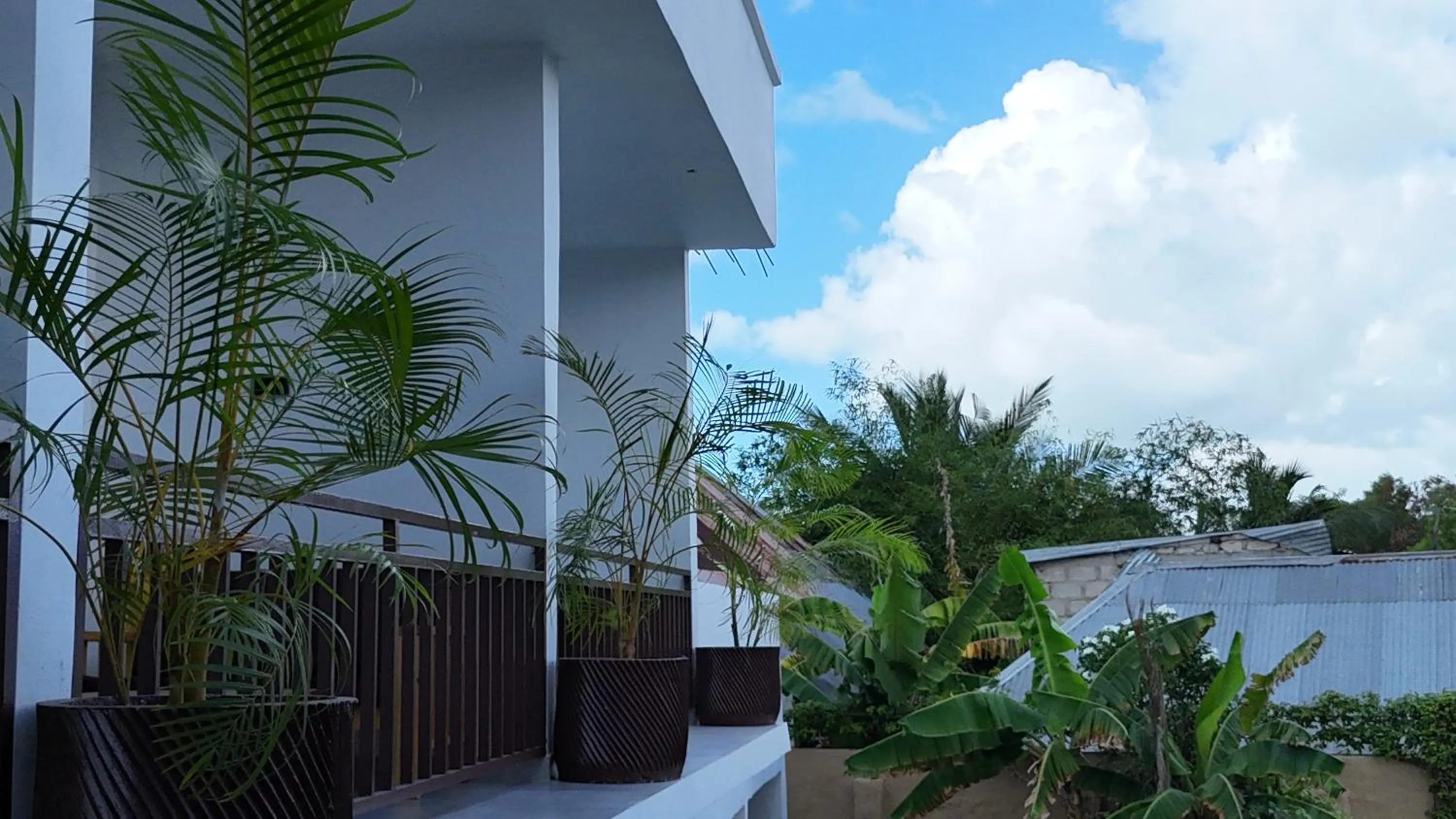 Garden in The Dream Village