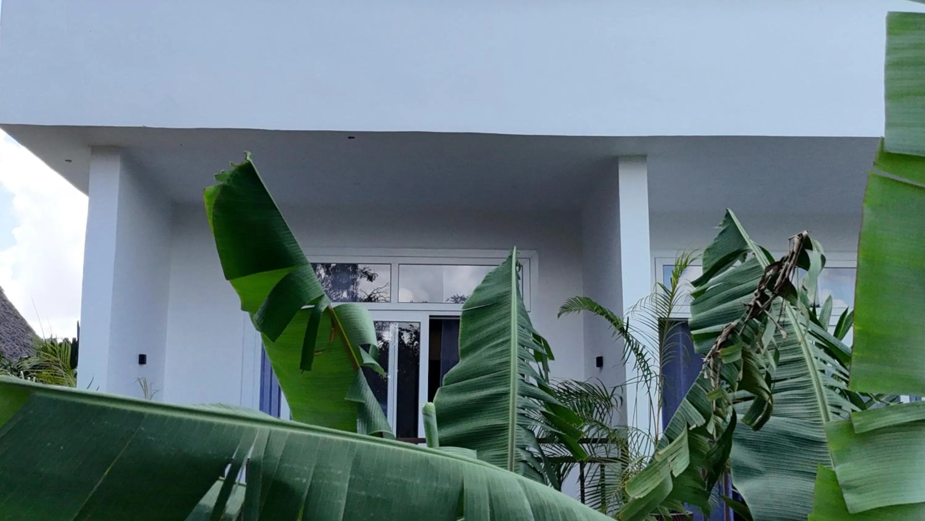 Natural landscape in The Dream Village