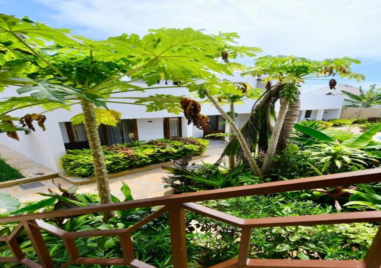 Natural landscape in The Dream Village
