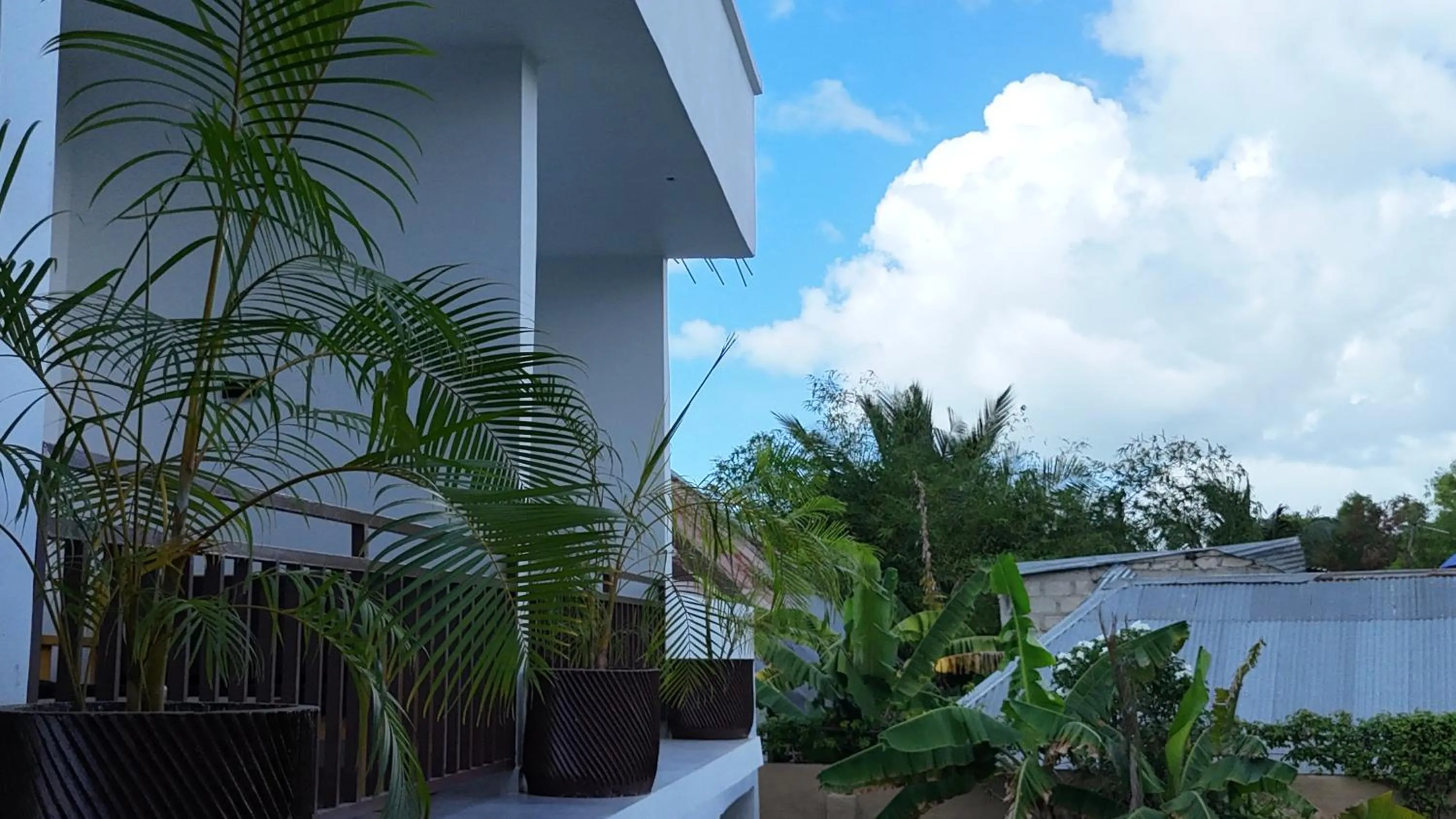 Natural landscape in The Dream Village