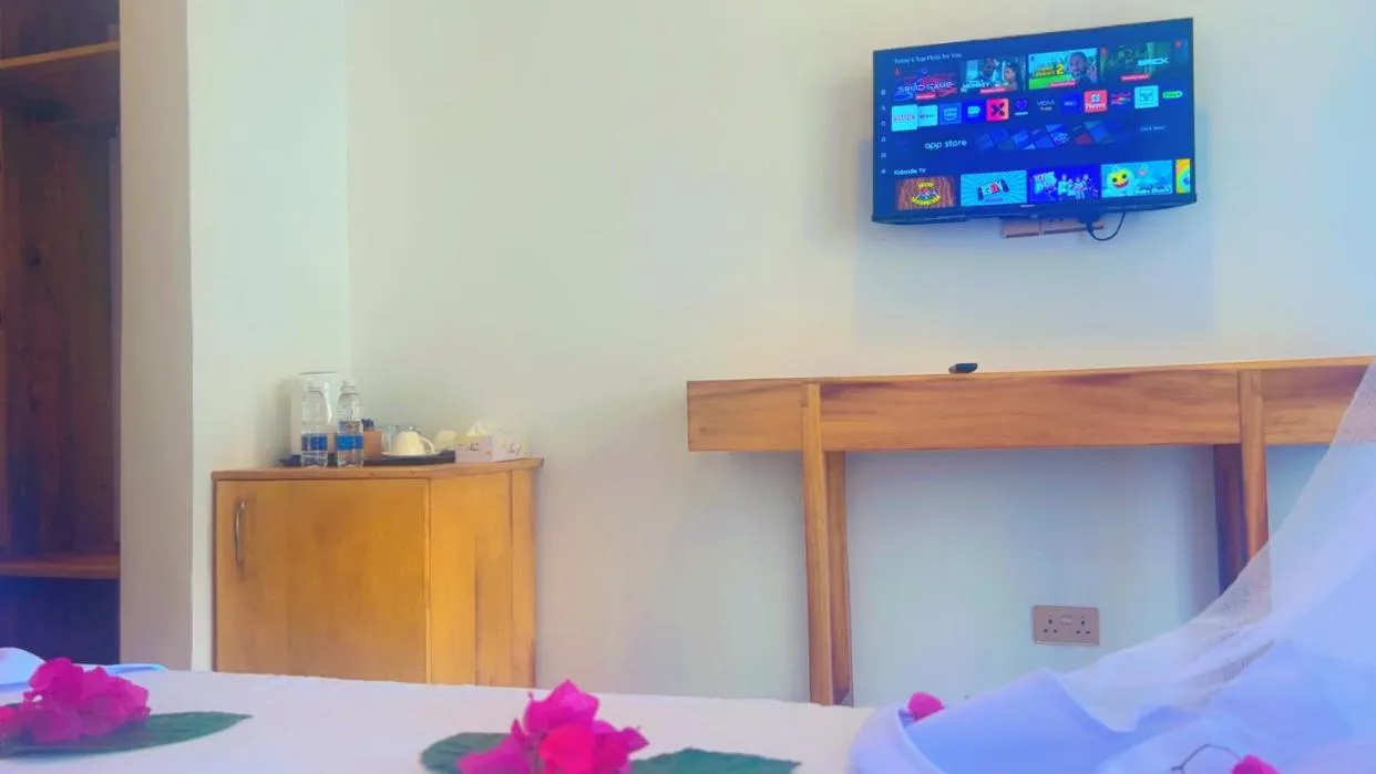 TV and multimedia, Bed in The Dream Village