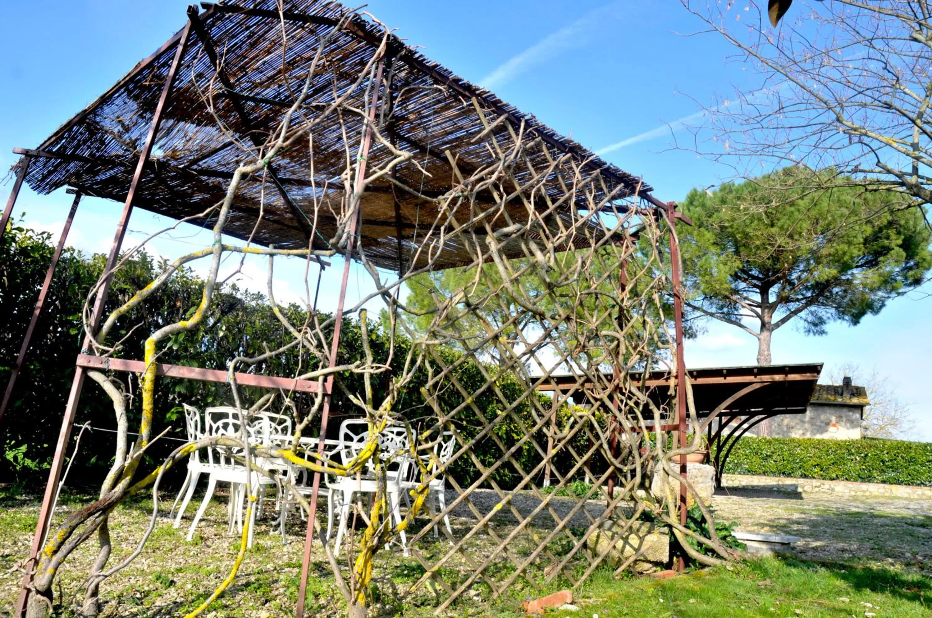 Day in Podere Lornanino