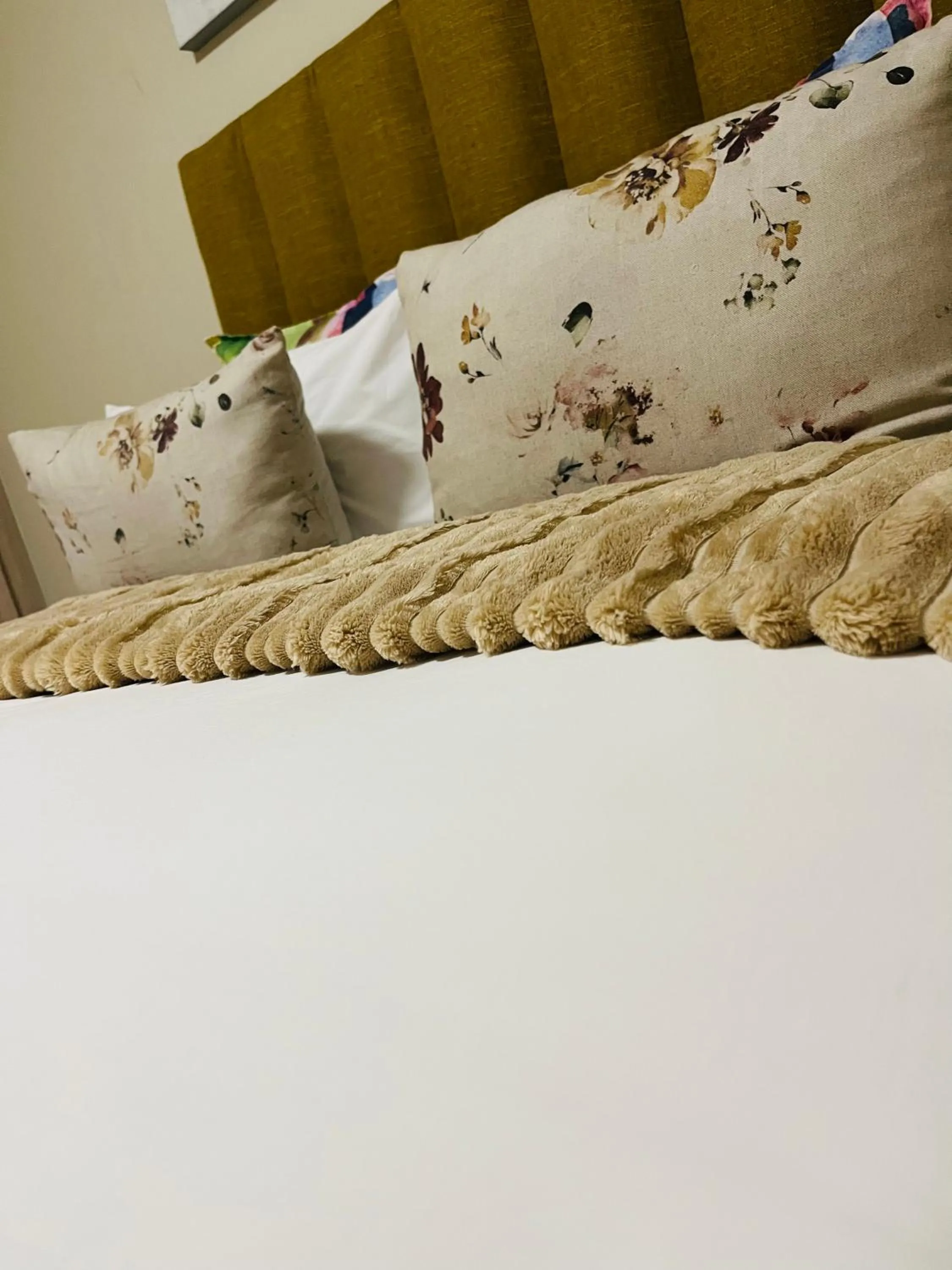 The Oak Tree House