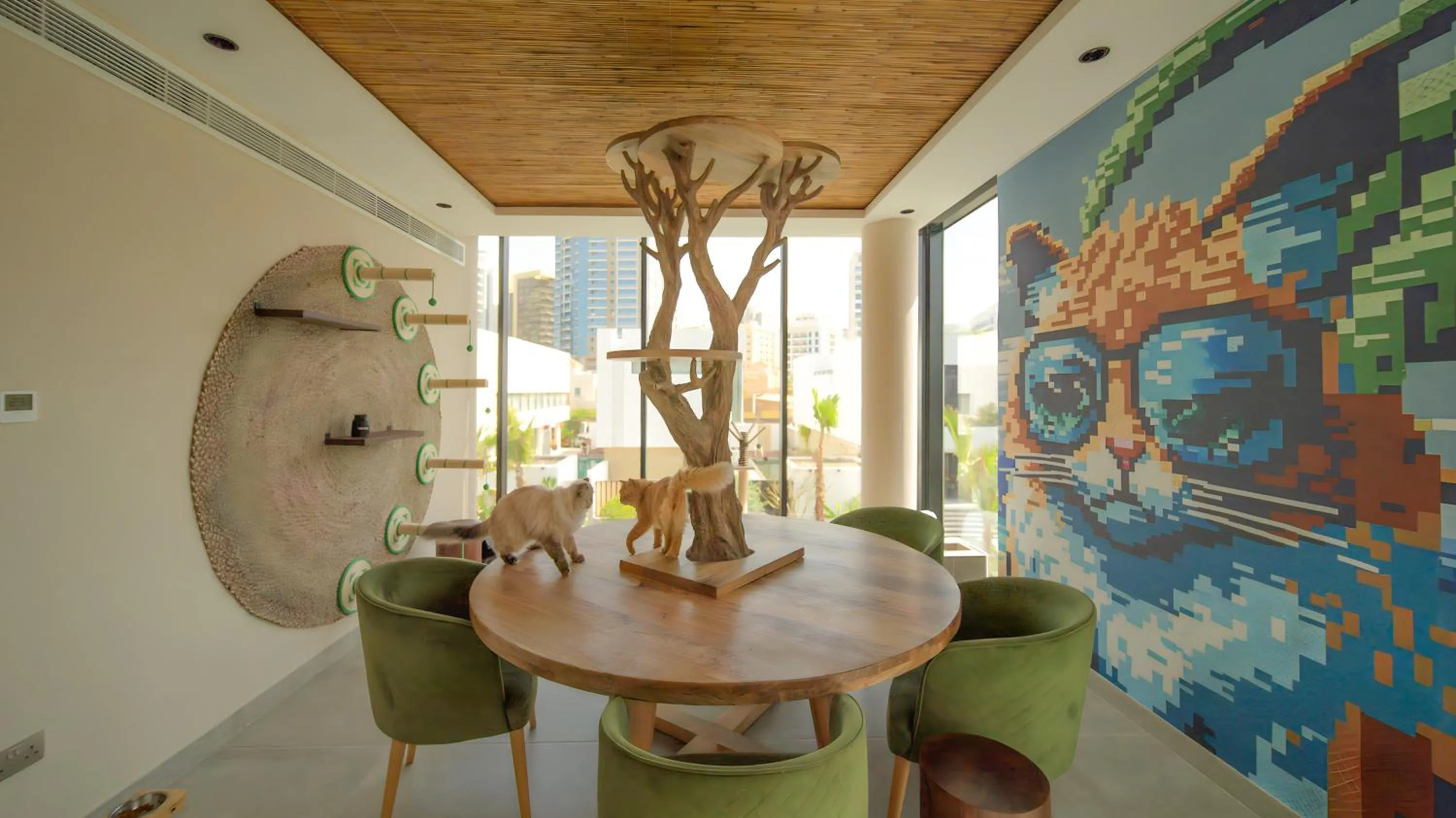 Seating area in Nas House Private & Shared Villas