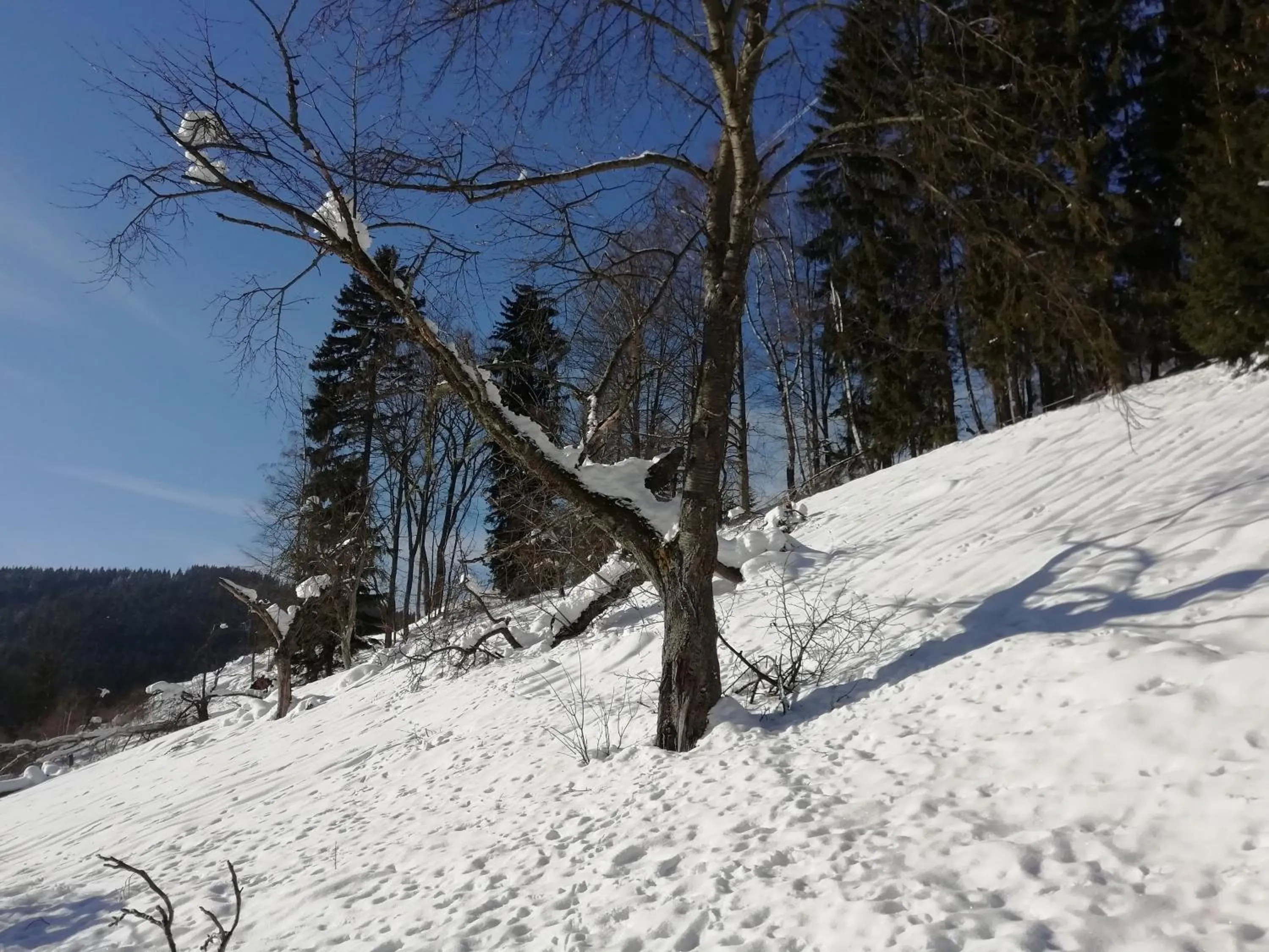 Other in Horský apartmán Krkonoše