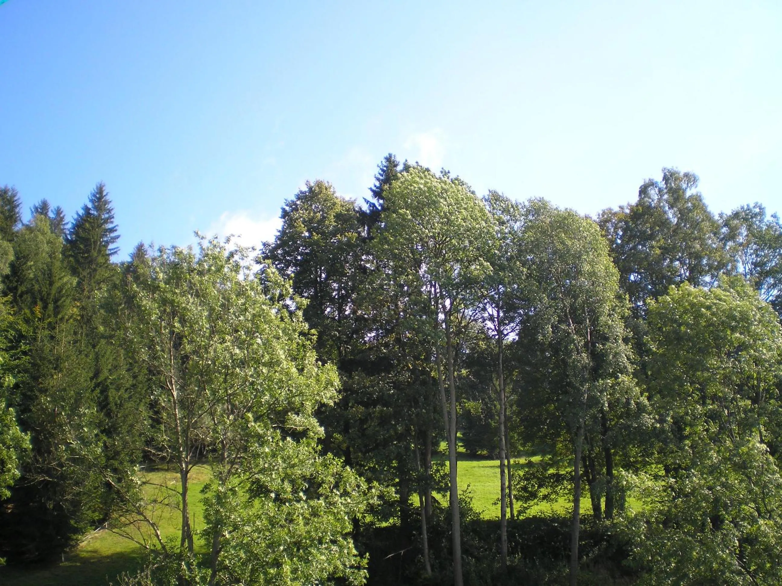 Off site in Horský apartmán Krkonoše