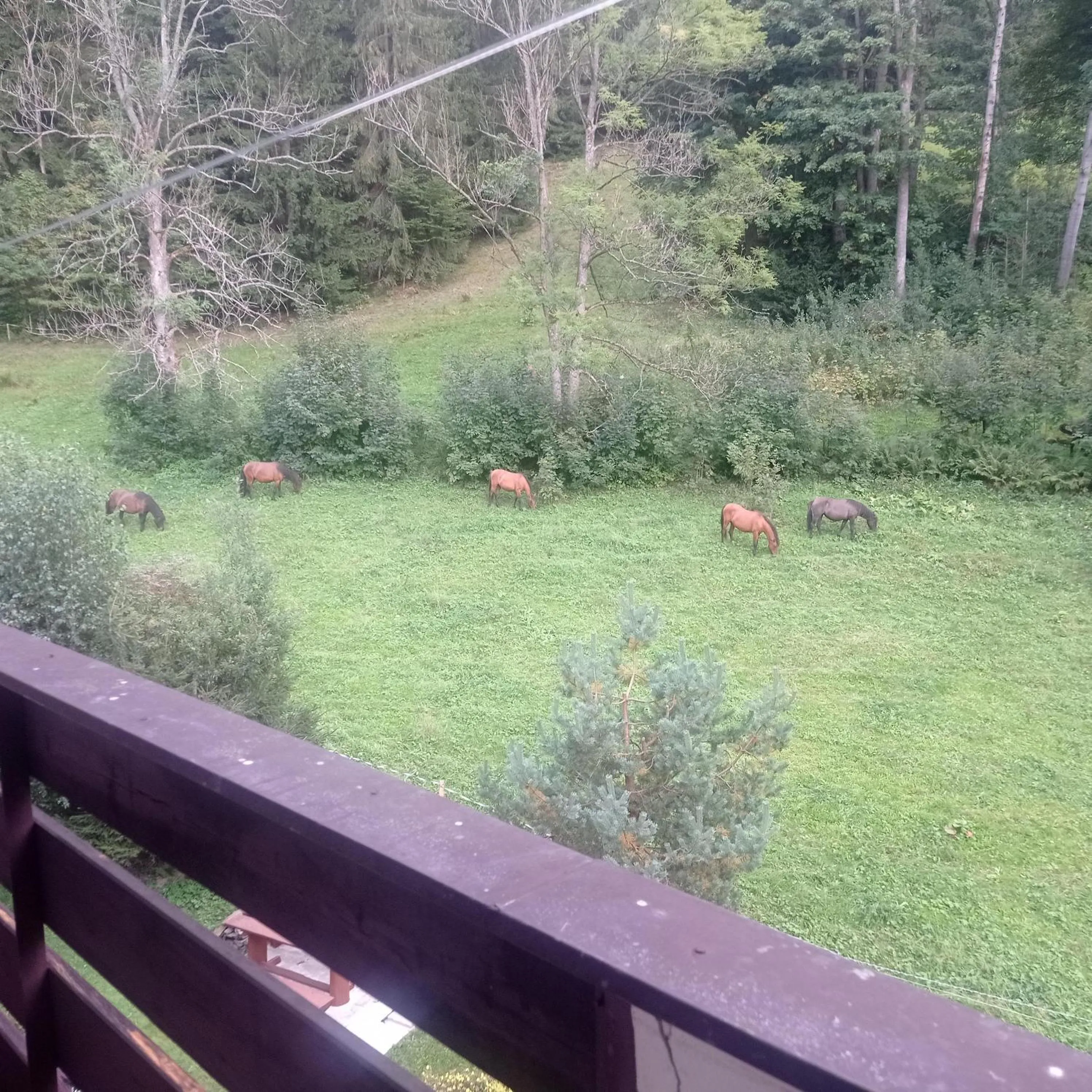 Natural landscape in Horský apartmán Krkonoše