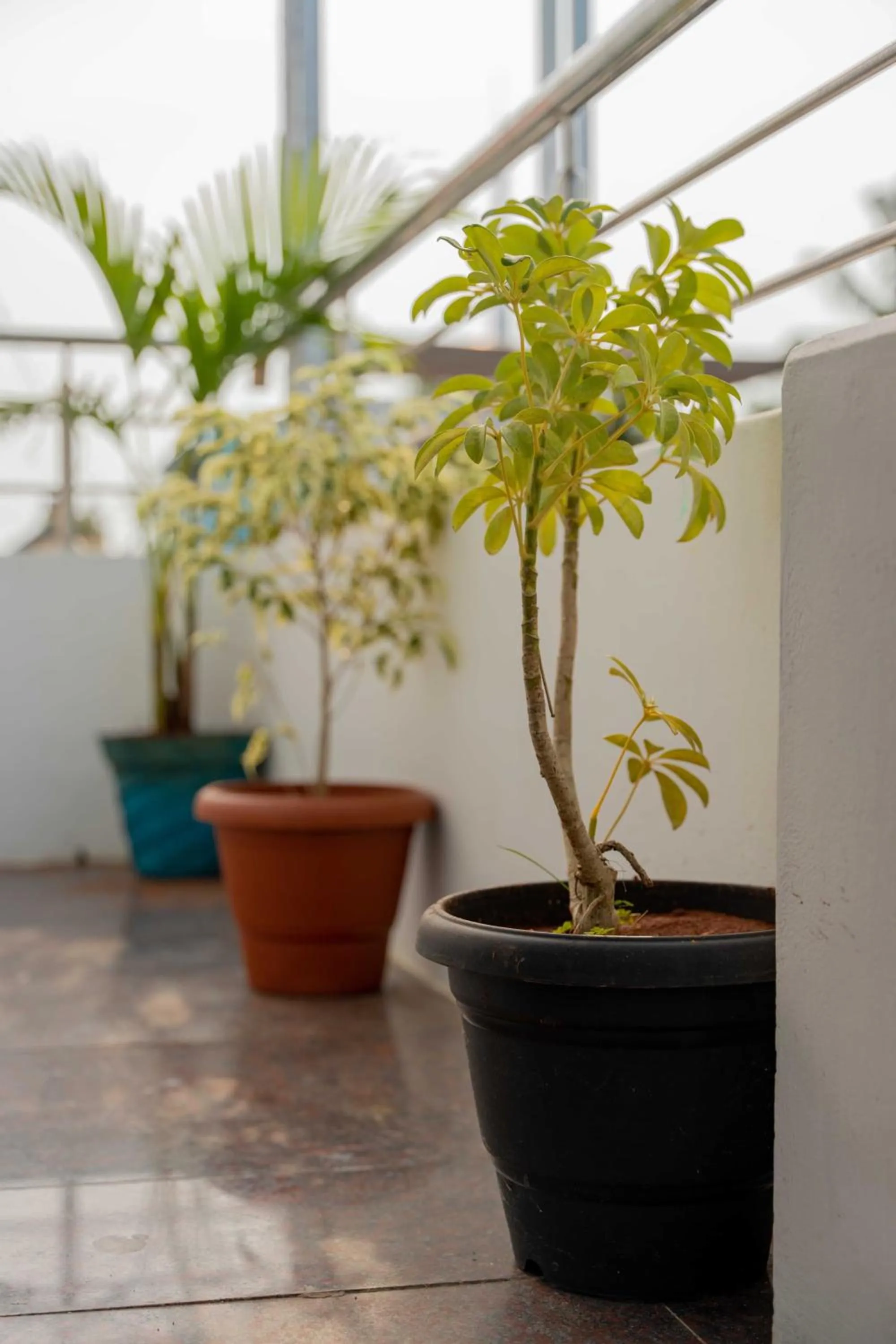 Day in Hotel Arya Grand Rameswaram by Nimalan