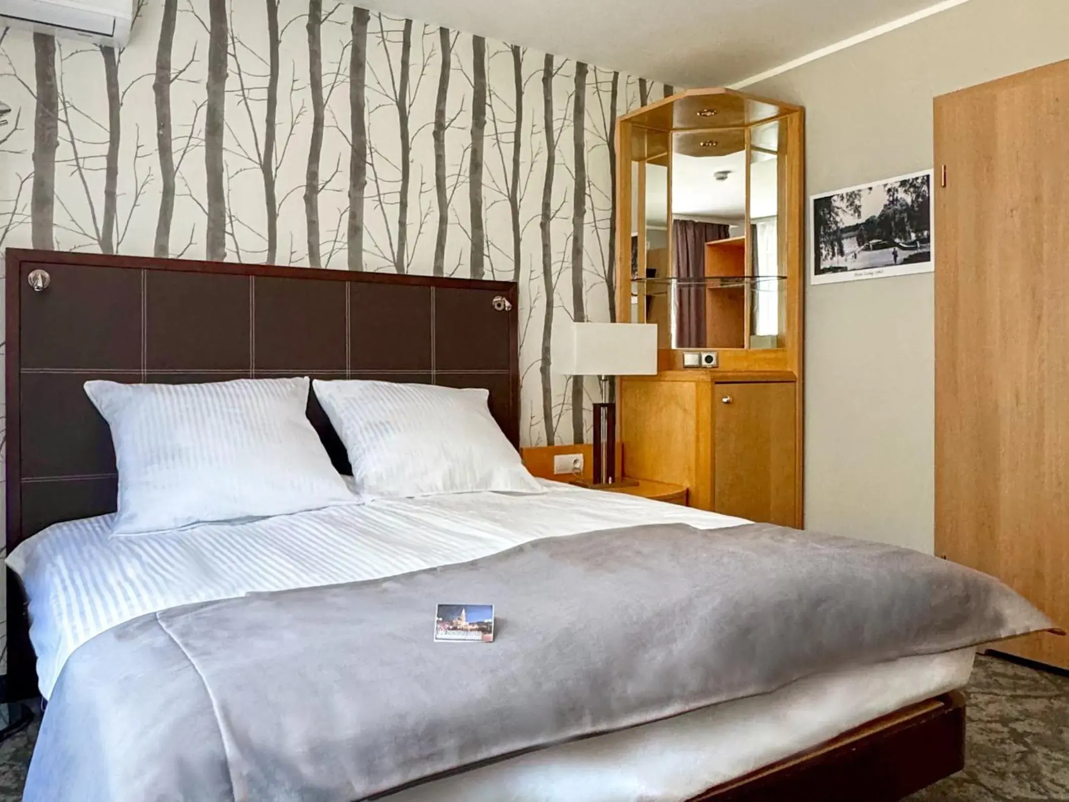 Standard Double Room - single occupancy in Hotel Malinowski Leśny Standard Double Room - single occupancy in Hotel Malinowski Leśny
