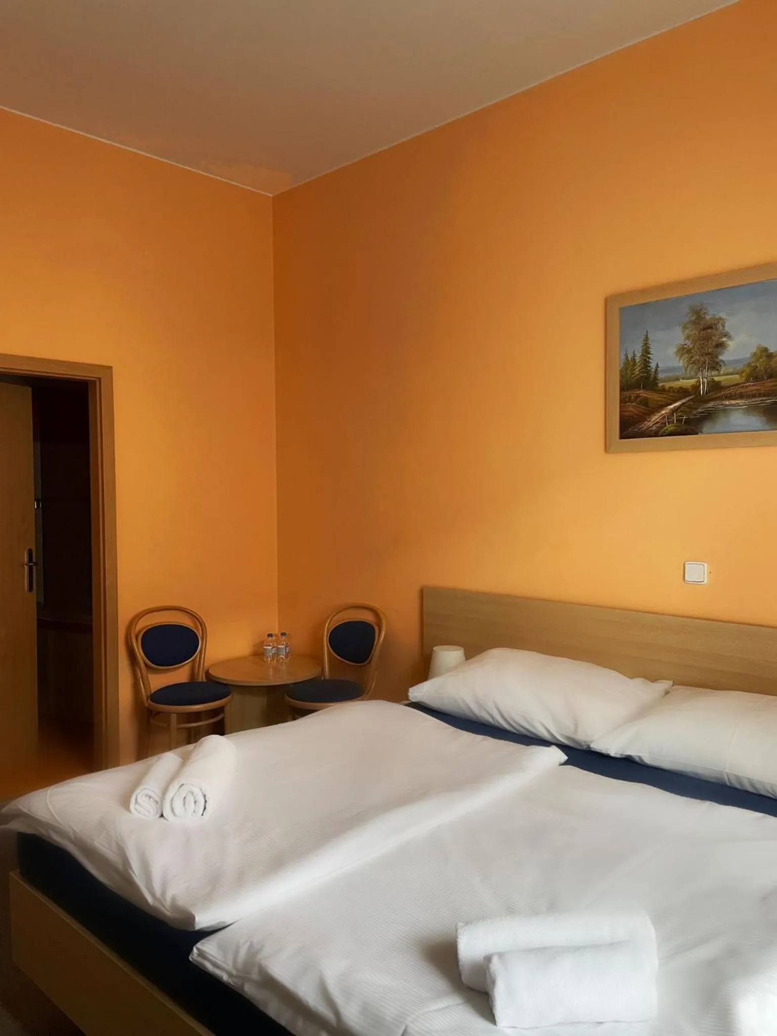 Double Room - single occupancy in Hotel Pod Zámkem