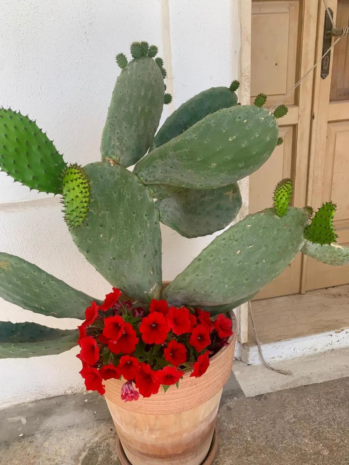 Decorative detail in Corte Mercurio B&B