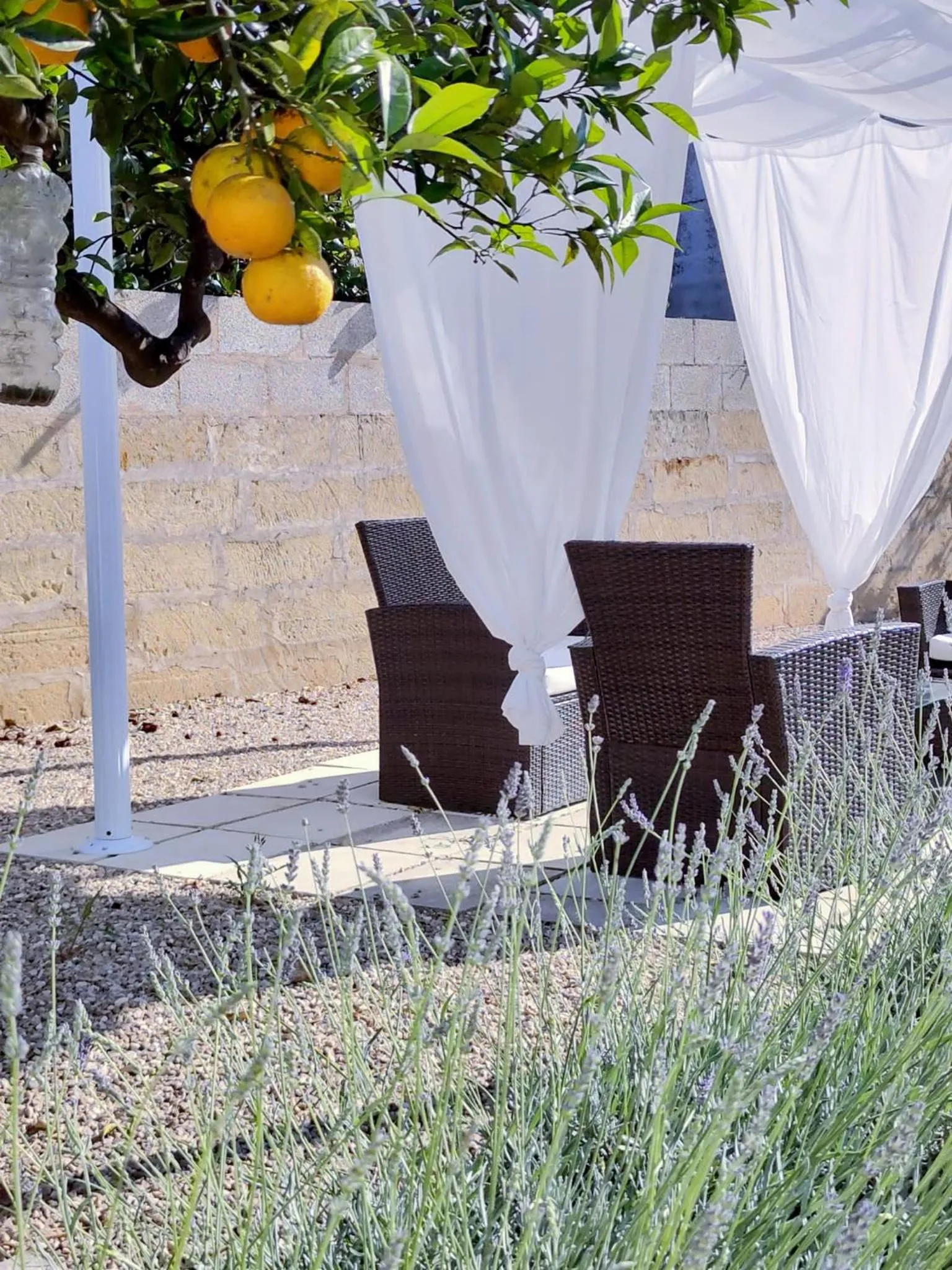 Spring in Corte Mercurio B&B