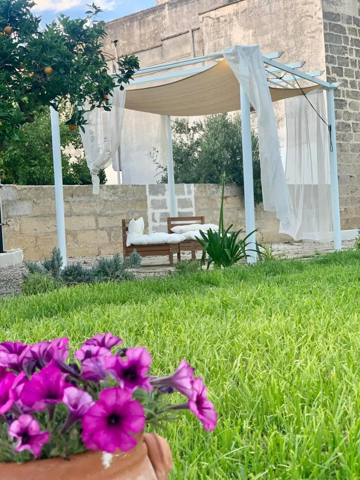 Garden in Corte Mercurio B&B